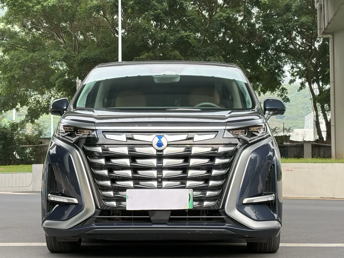 Denza D9 DM  из Китая