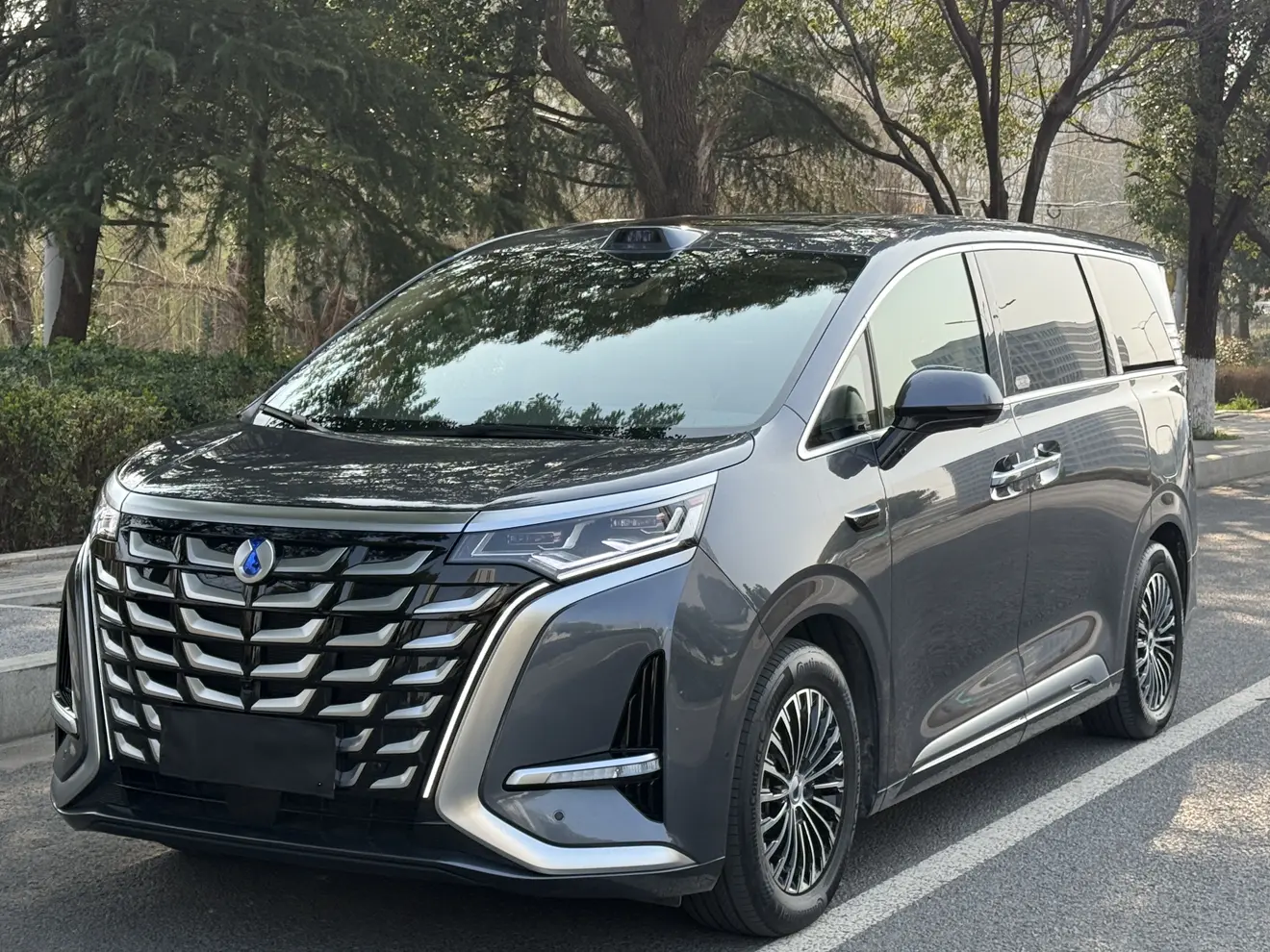 Denza D9 DM  из Китая