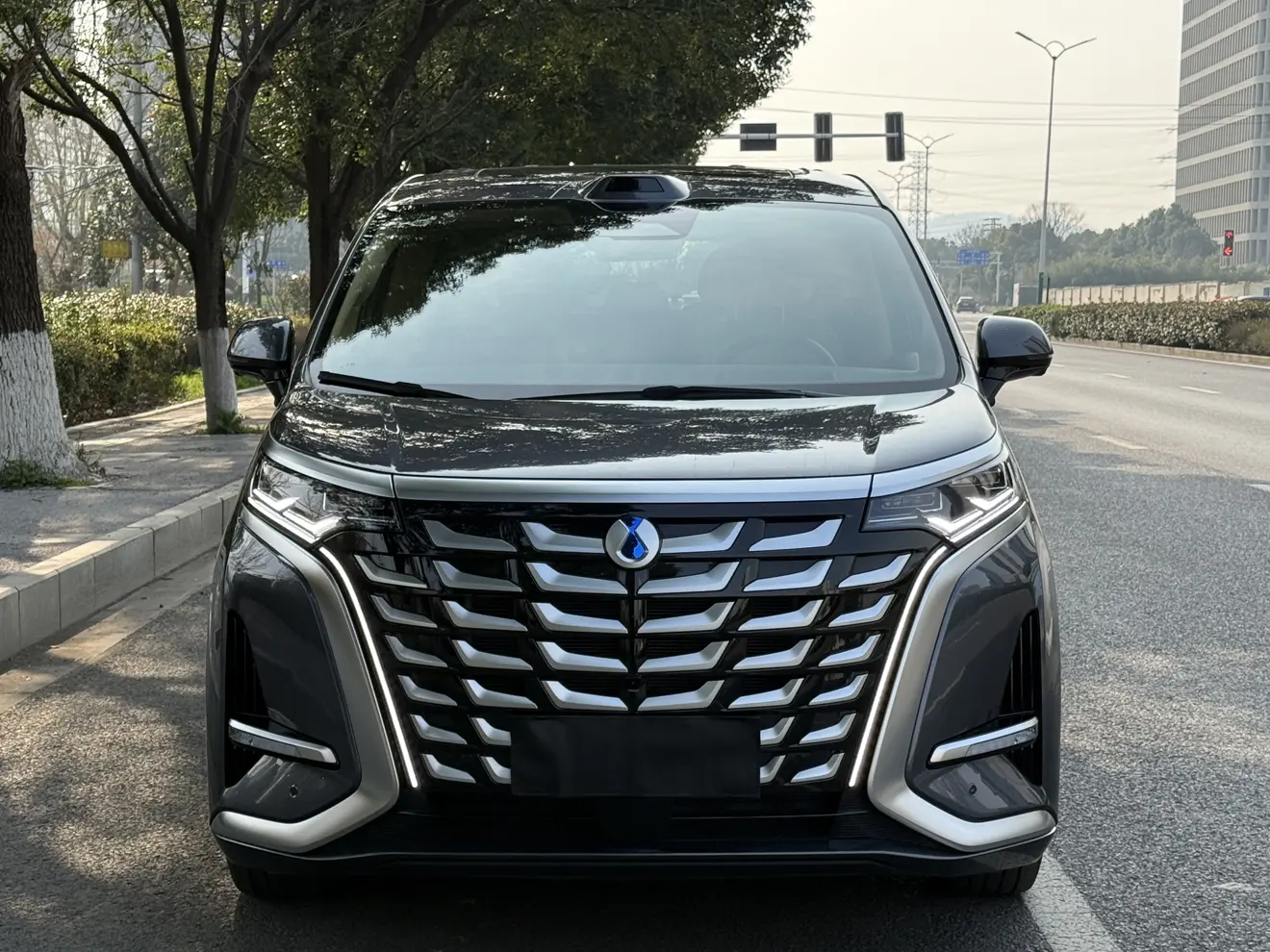 Denza D9 DM  из Китая