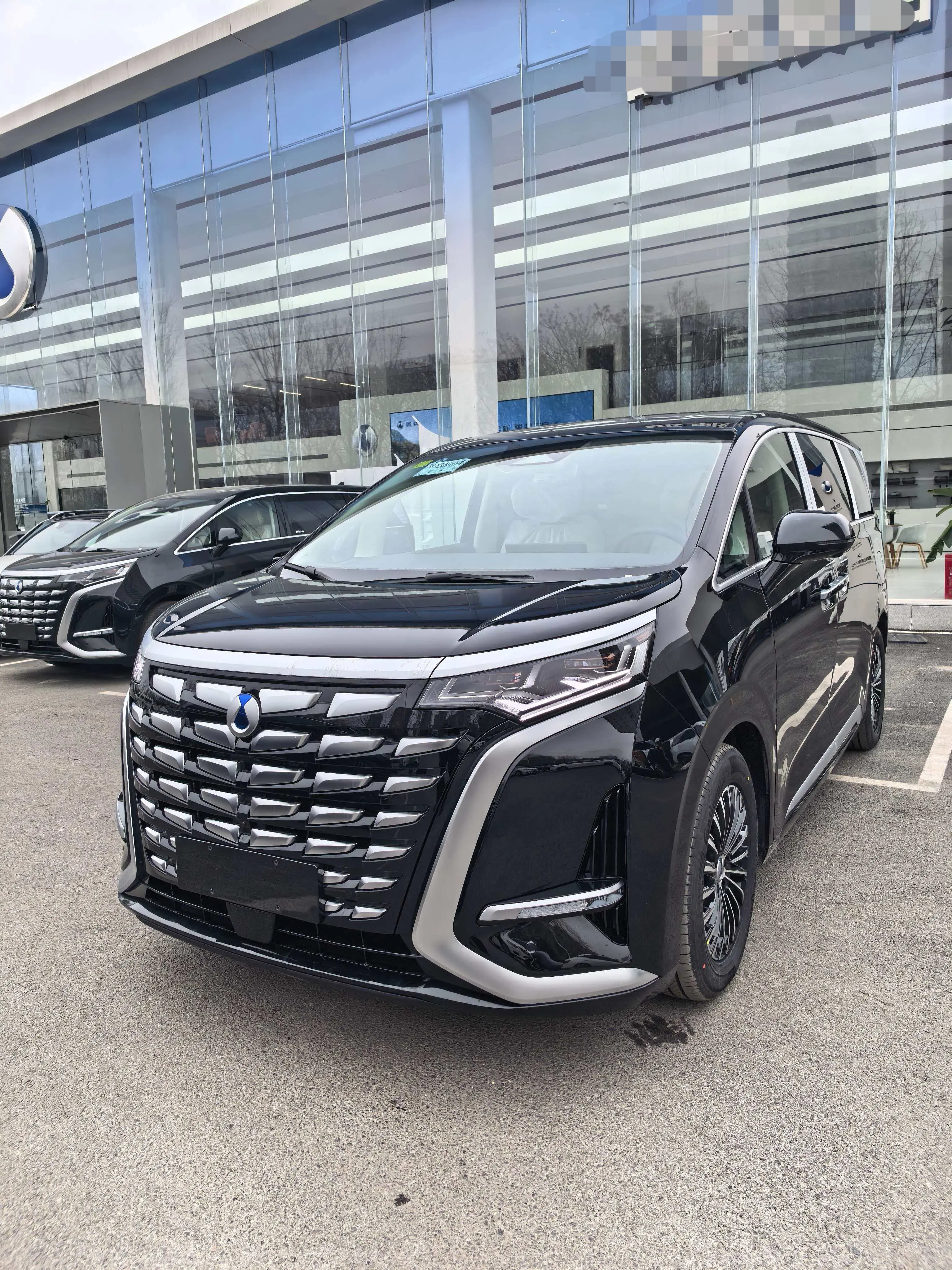 Denza D9 DM  из Китая