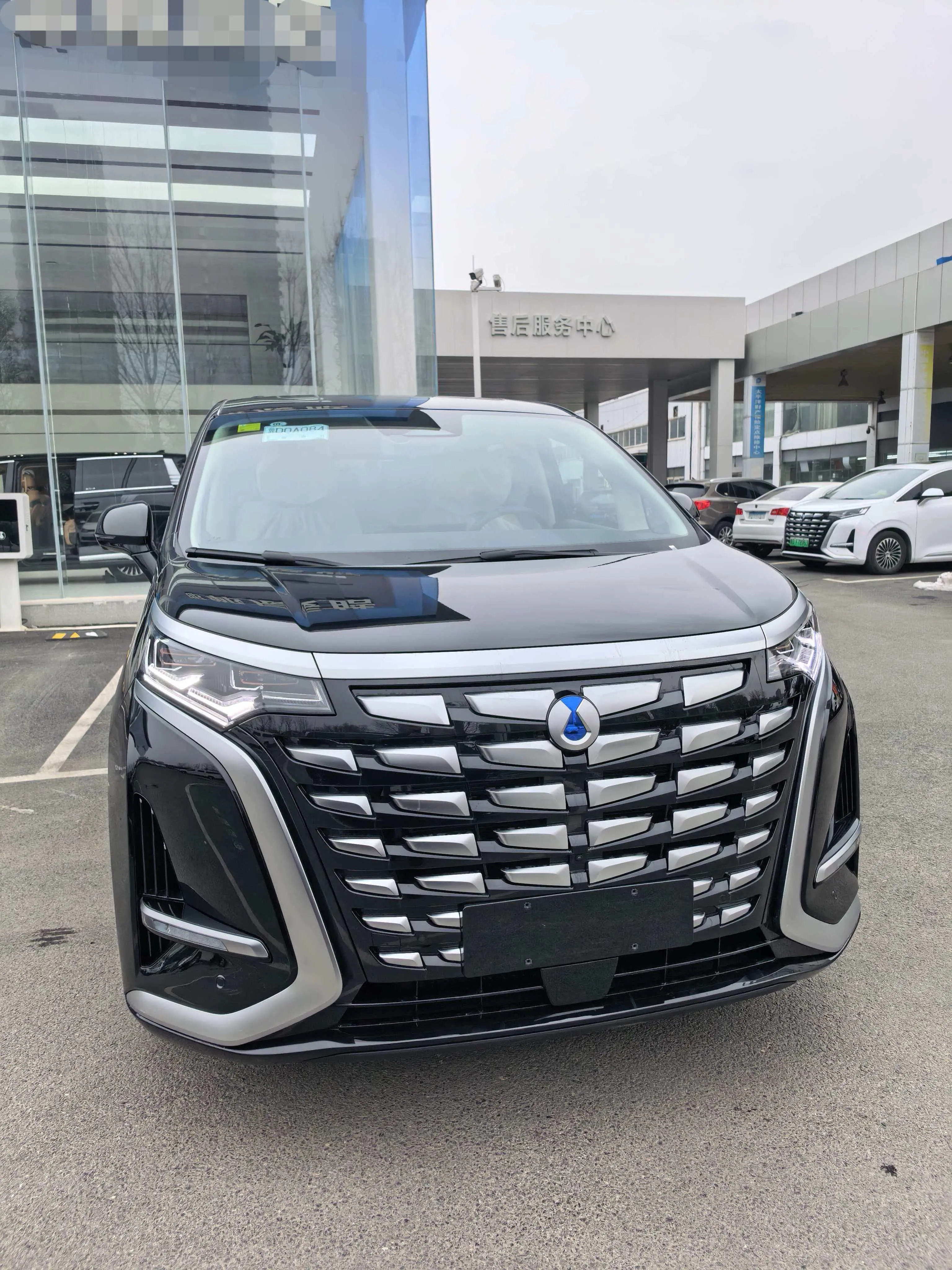 Denza D9 DM  из Китая