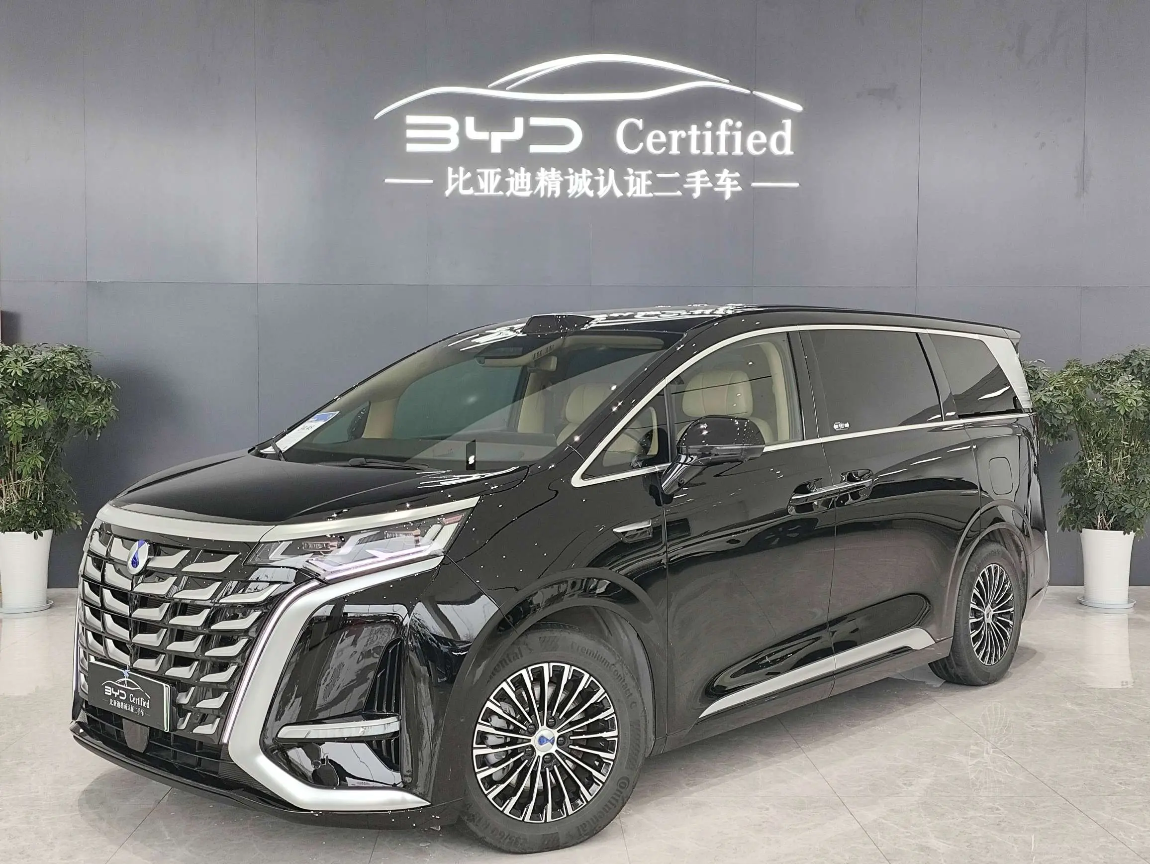 Denza D9 DM  из Китая