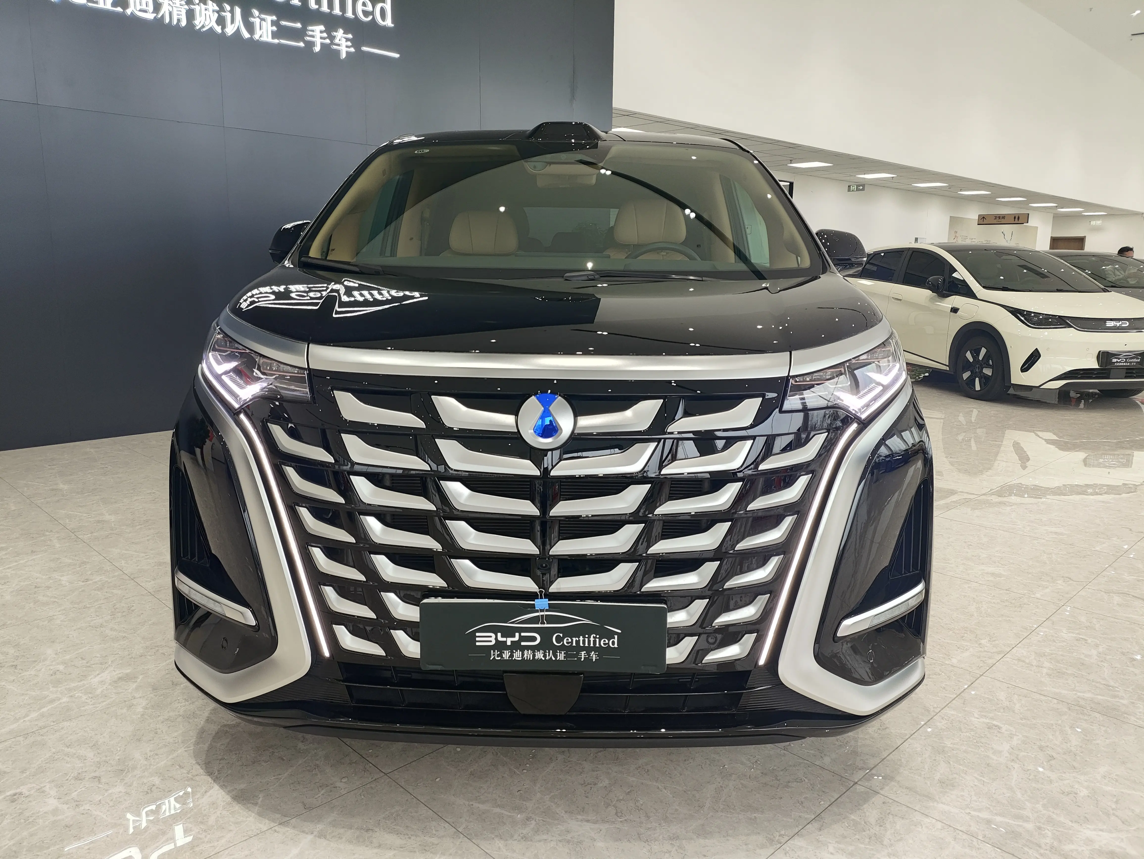 Denza D9 DM  из Китая