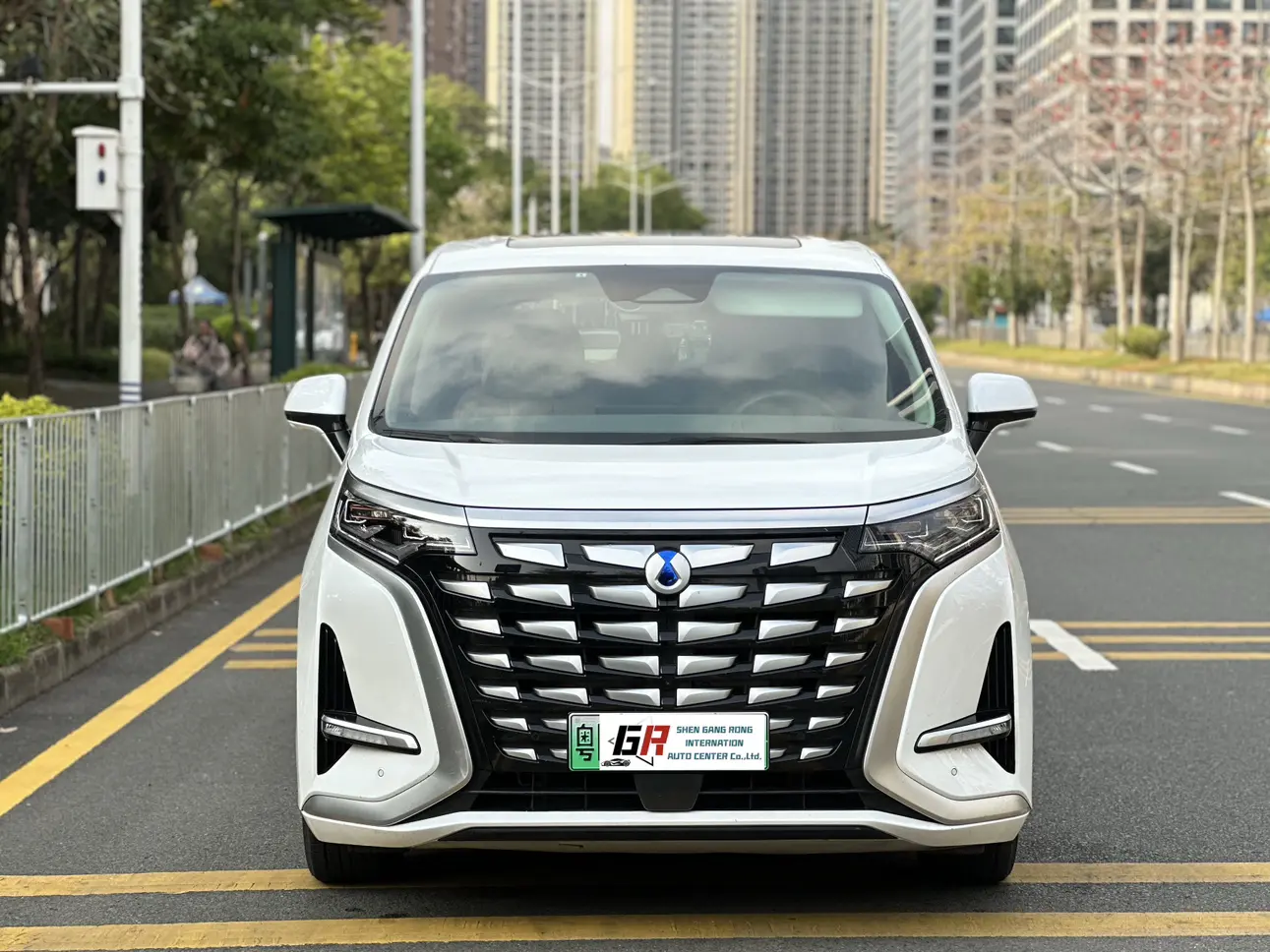 Denza D9 DM  из Китая