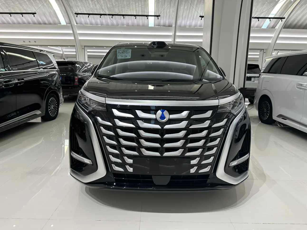 Denza D9 DM  из Китая