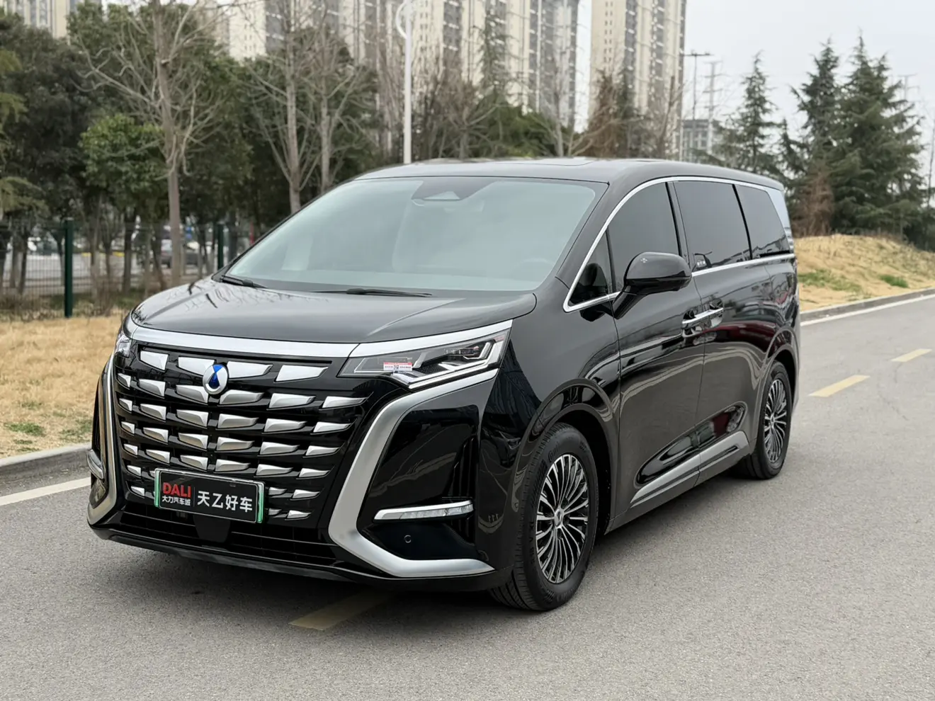 Denza D9 DM  из Китая