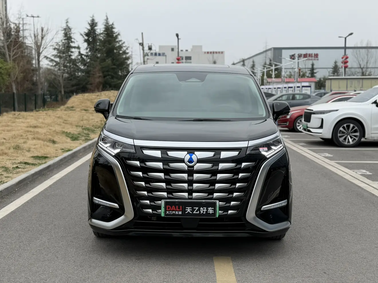 Denza D9 DM  из Китая