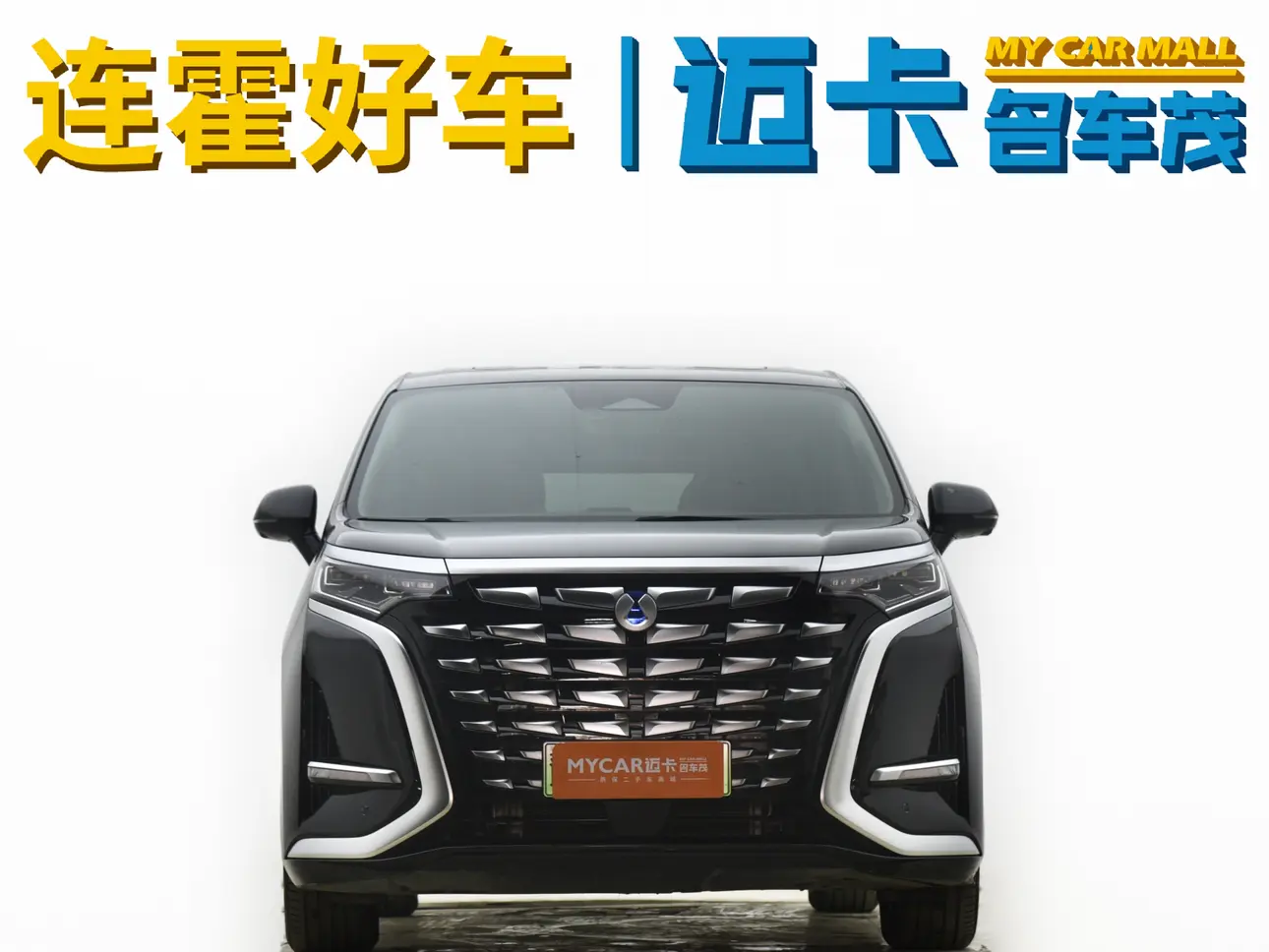 Denza D9 DM  из Китая