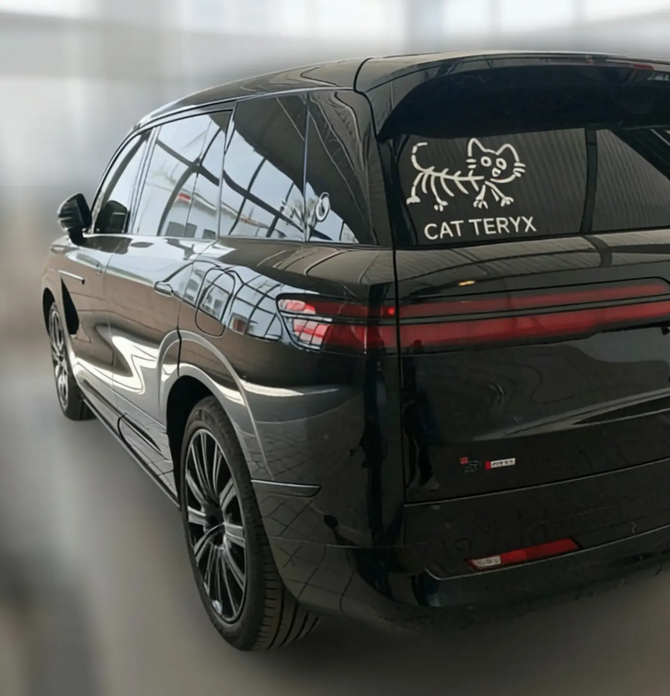 Denza Tengzhong N9 DM  из Китая