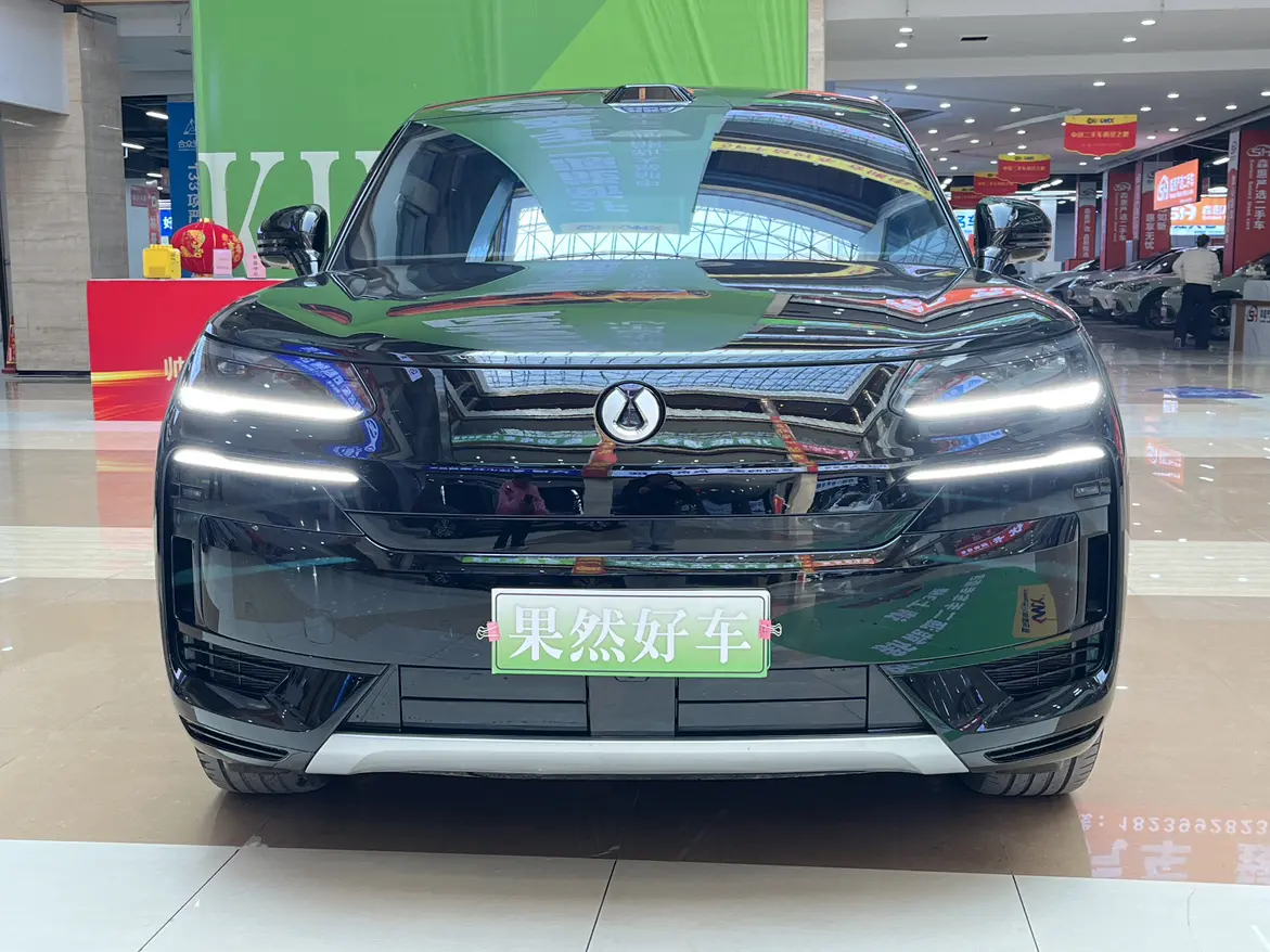 Denza Tengzhong N9 DM  из Китая