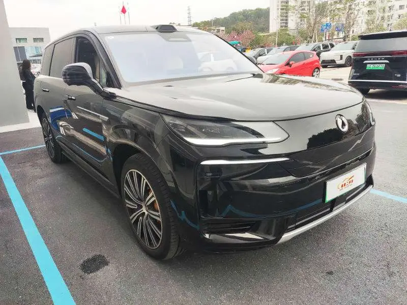 Denza Tengzhong N9 DM  из Китая