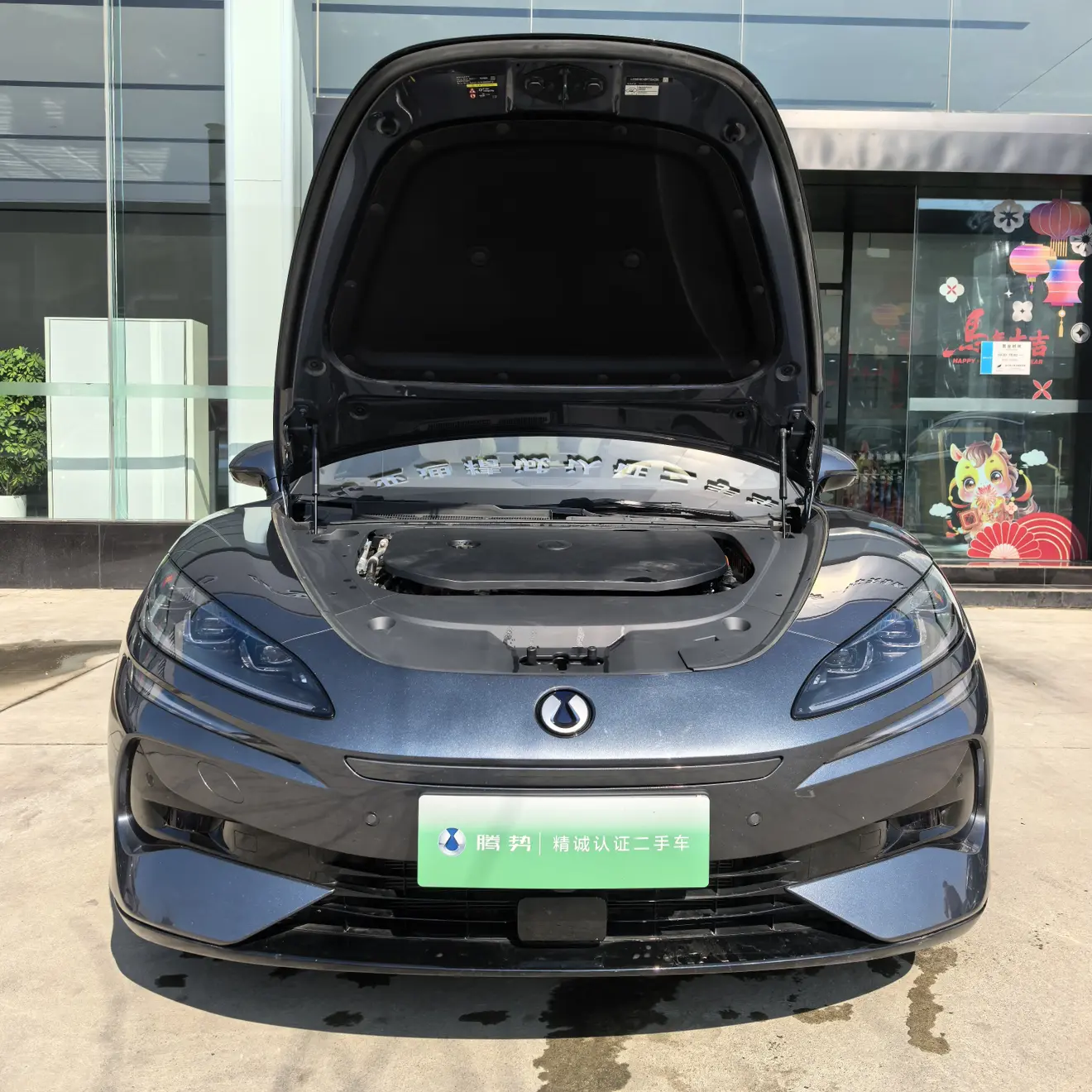 Denza Tengzhong Z9 DM  из Китая