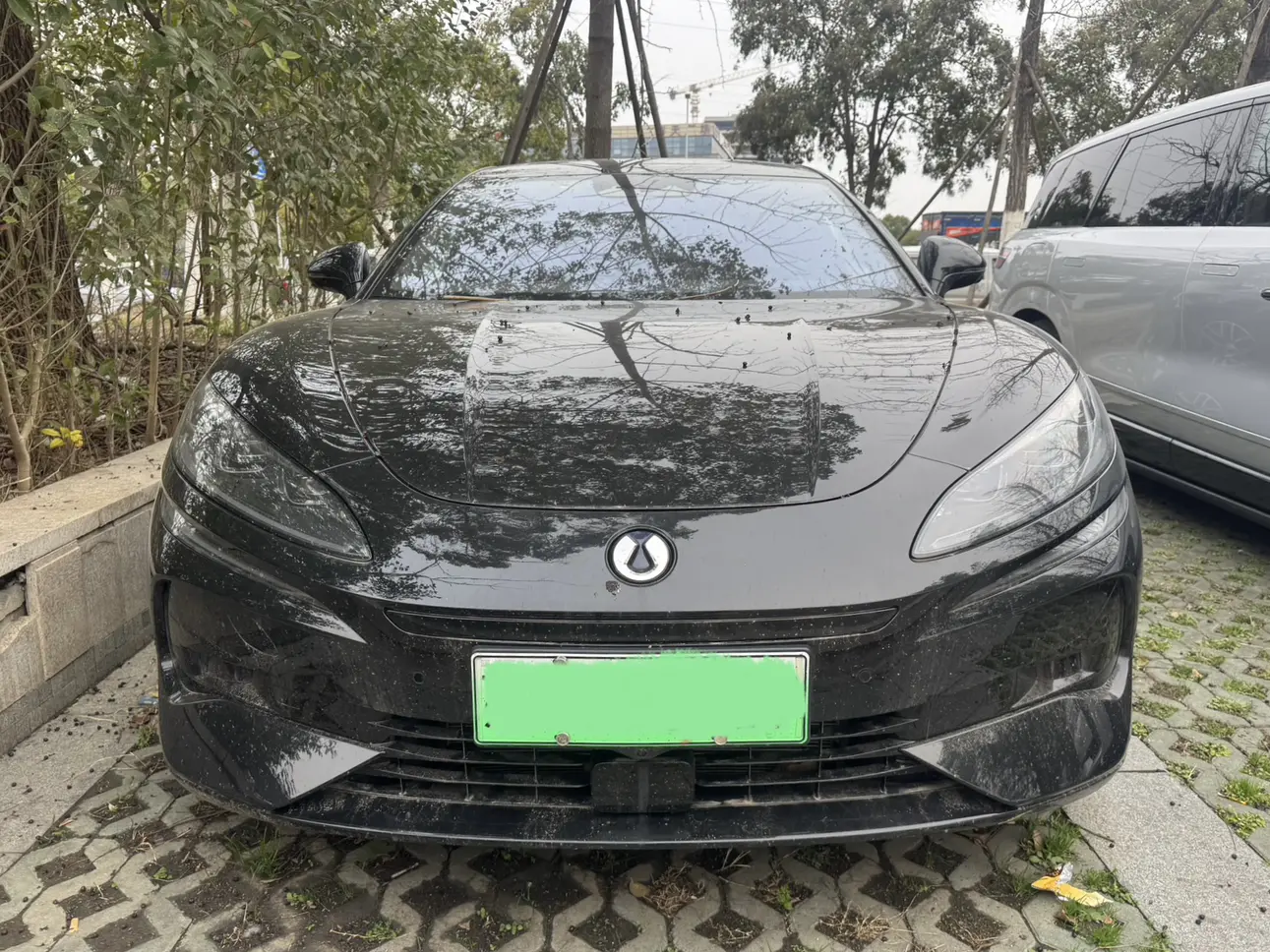 Denza Tengzhong Z9 DM  из Китая