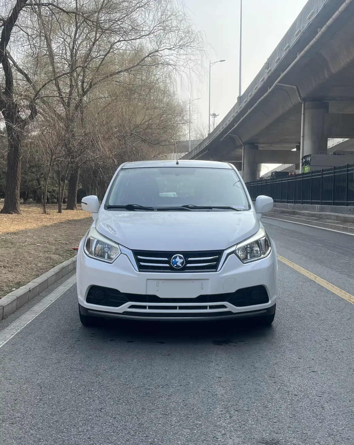 Kai Chen Venucia R50  из Китая