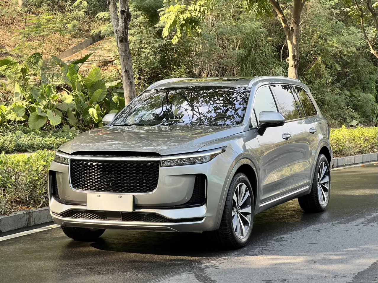 Li ONE (Ideal ONE)  из Китая