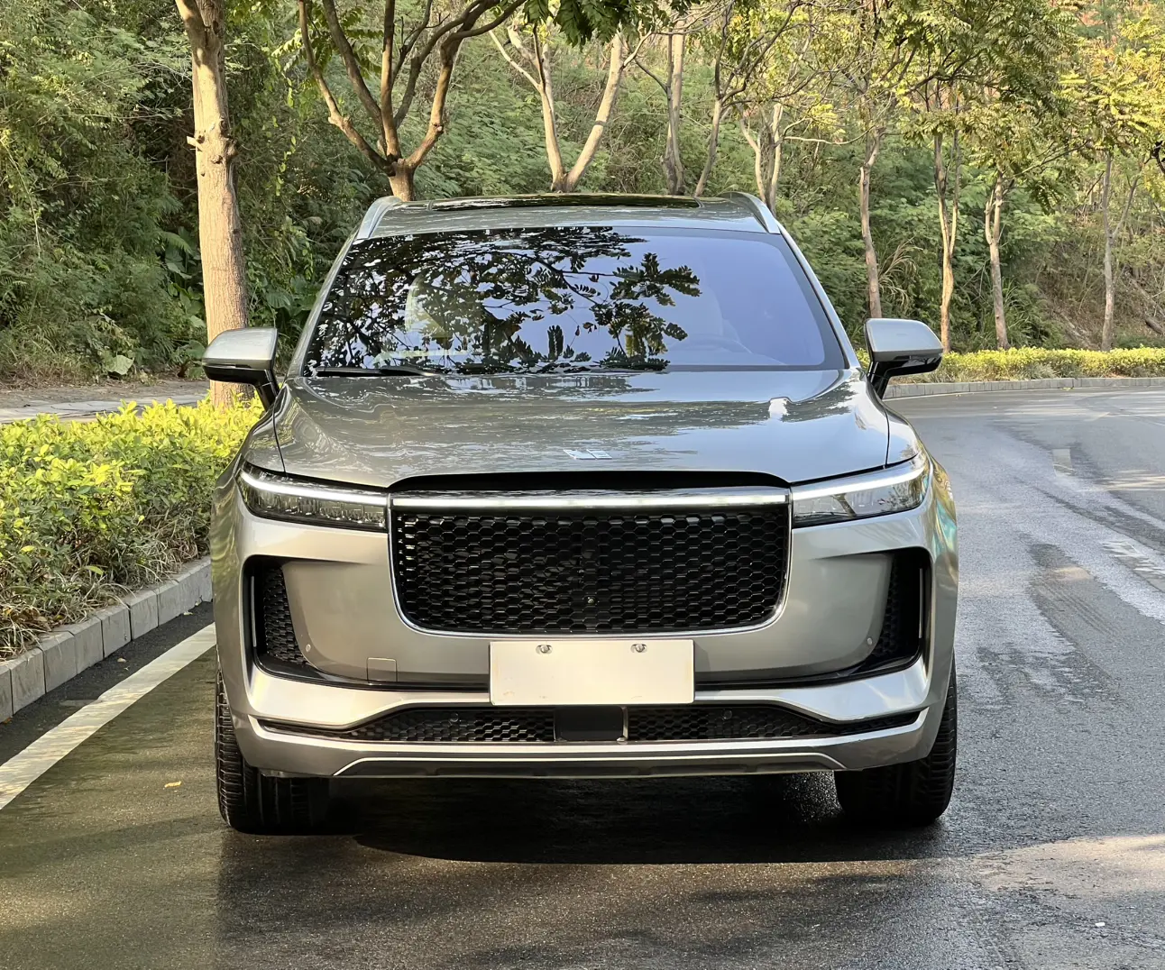 Li ONE (Ideal ONE)  из Китая