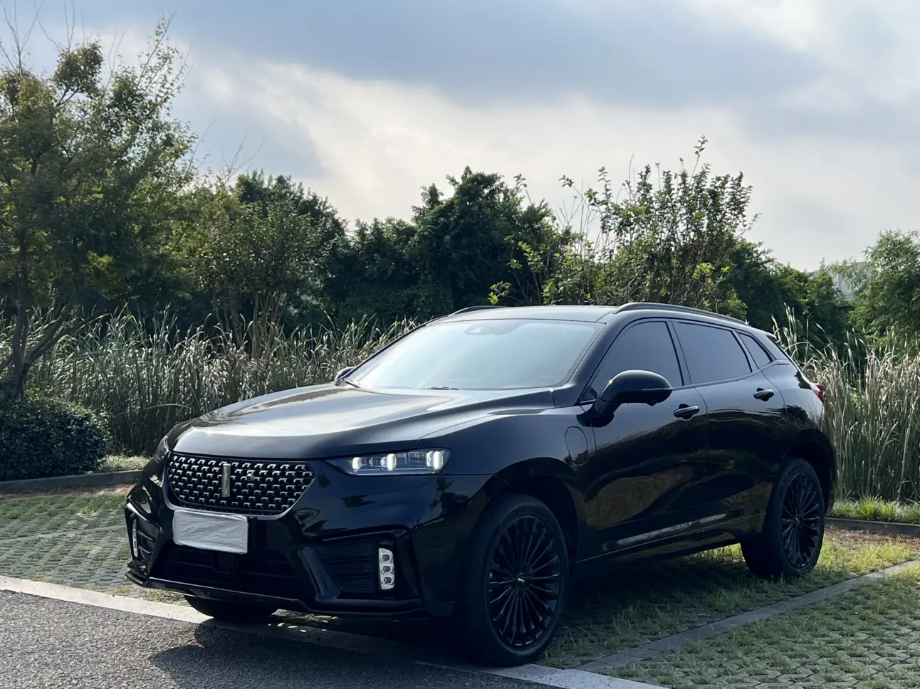 Wey Wei brand VV7 PHEV