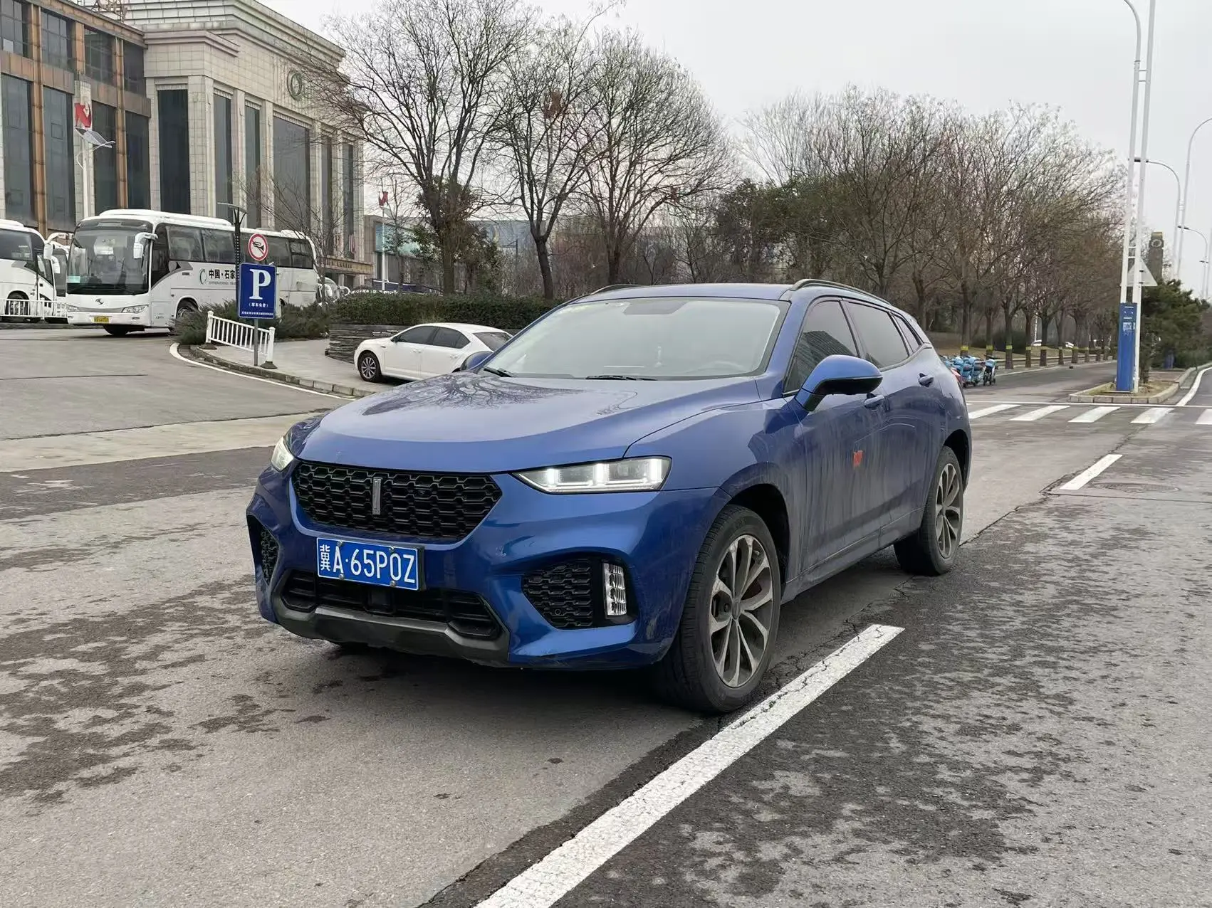Wey Wei brand VV7