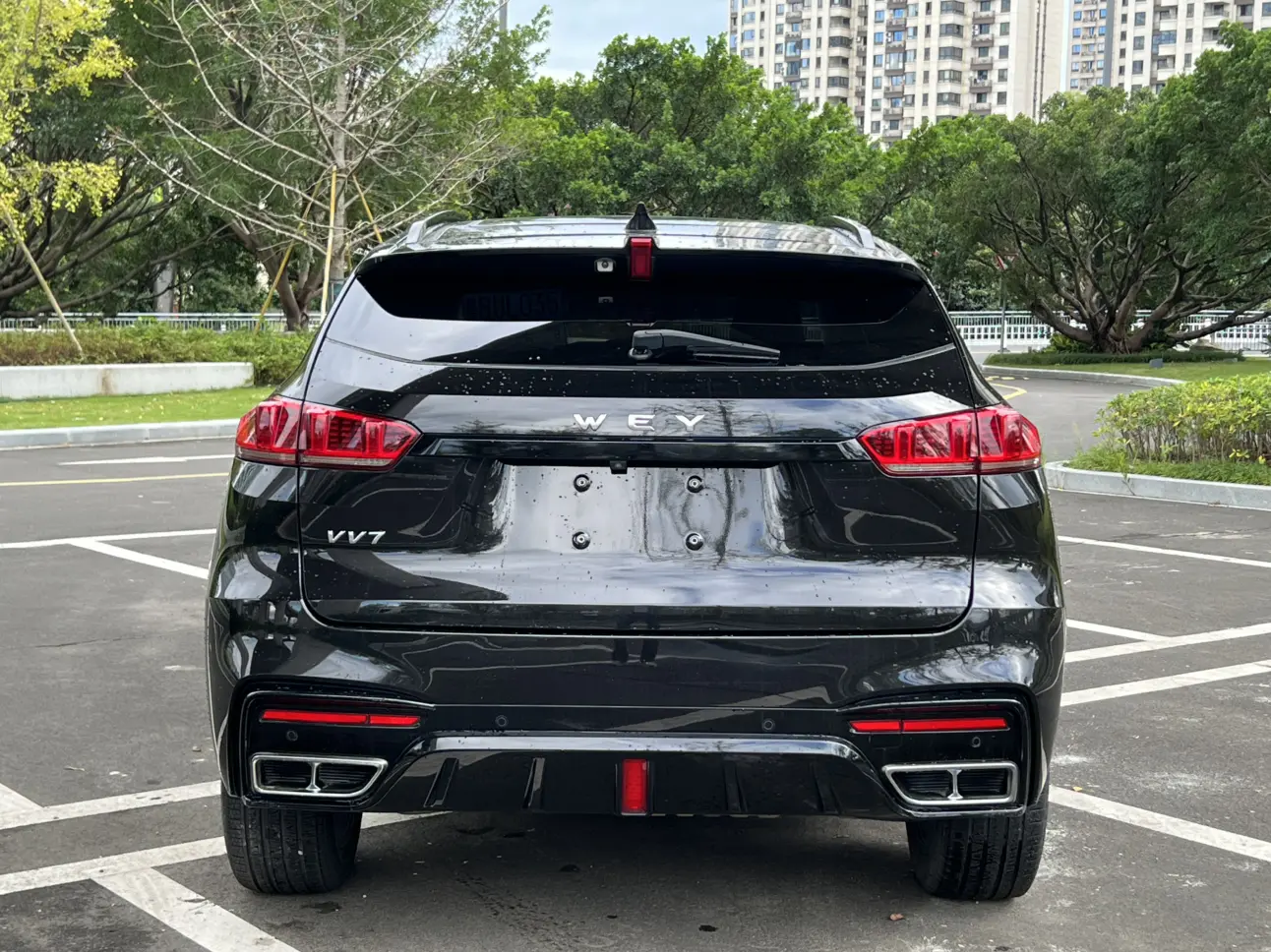 Wey Wei brand VV7