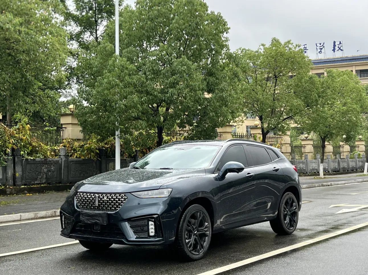 Wey Wei brand VV7