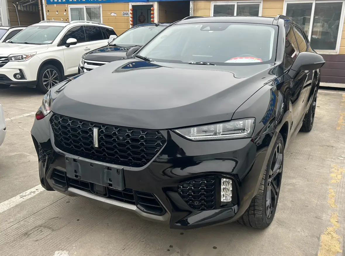 Wey Wei brand VV7