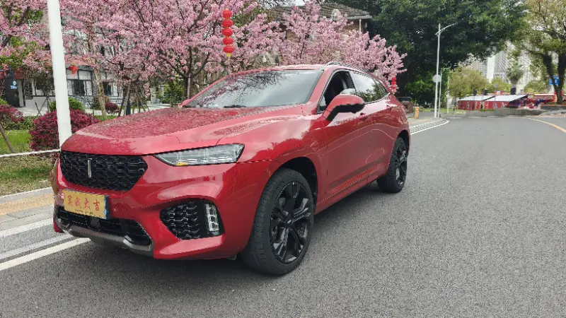 Wey Wei brand VV7