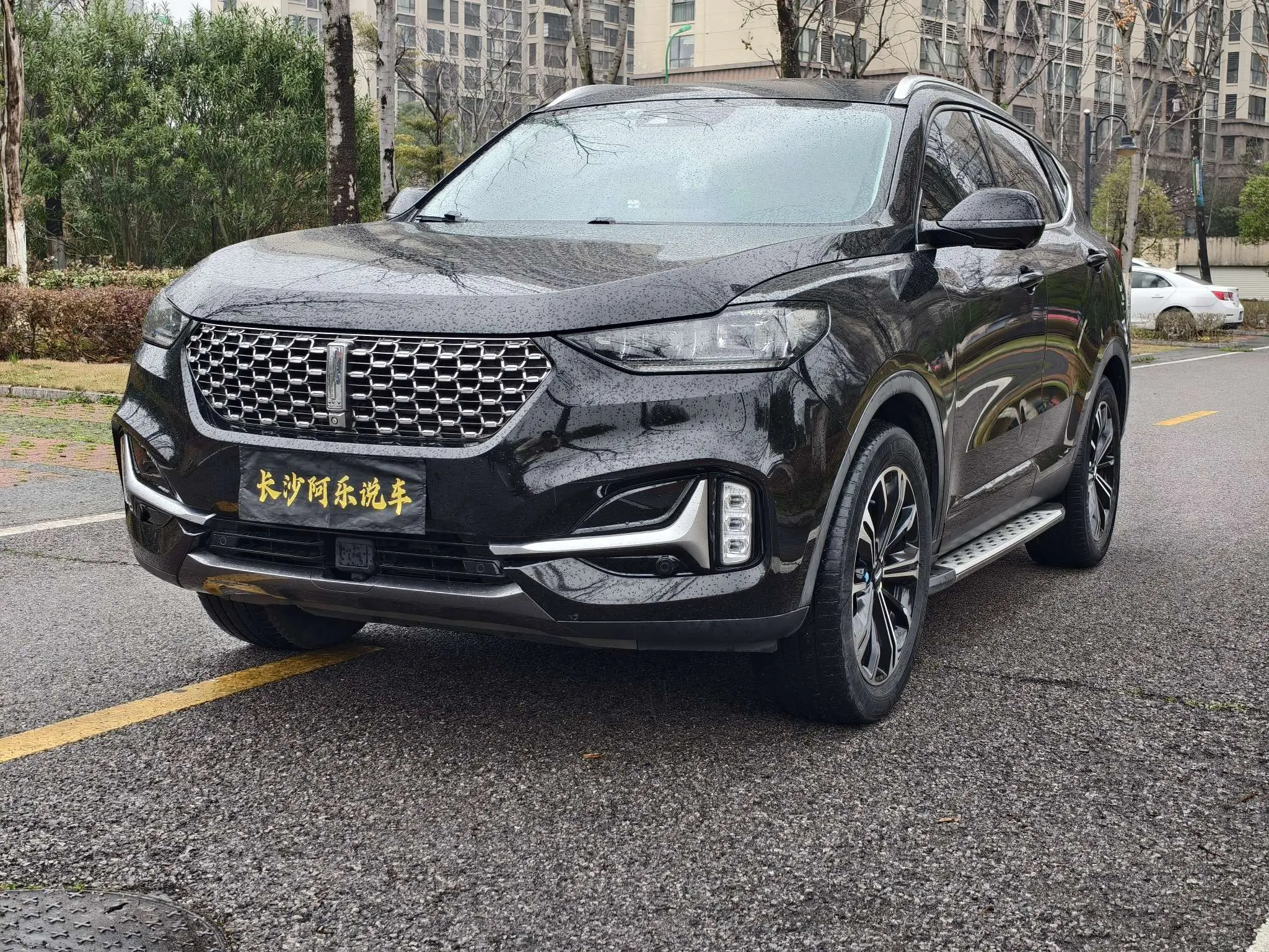 Wey Wei brand VV6