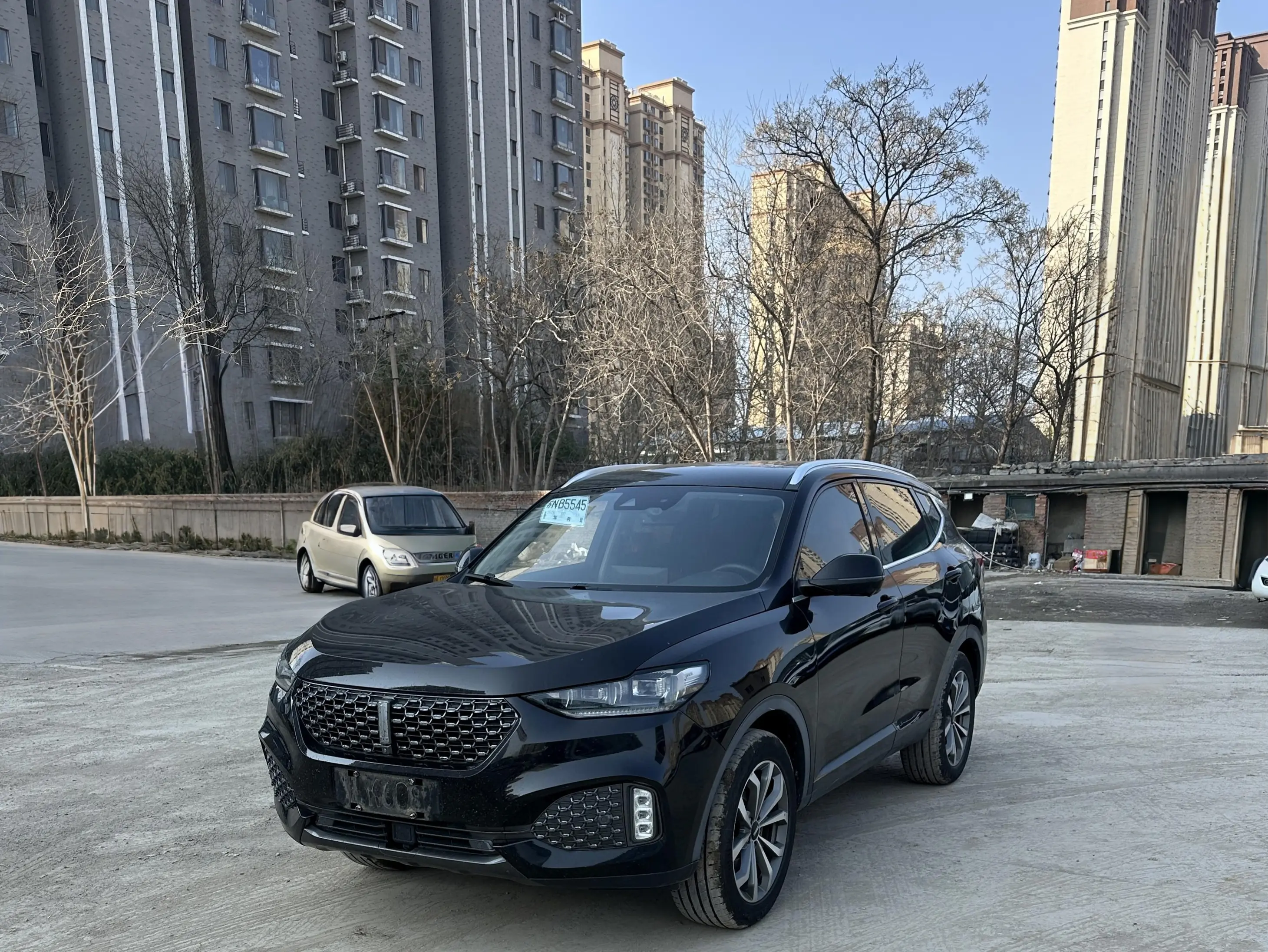 Wey Wei brand VV6