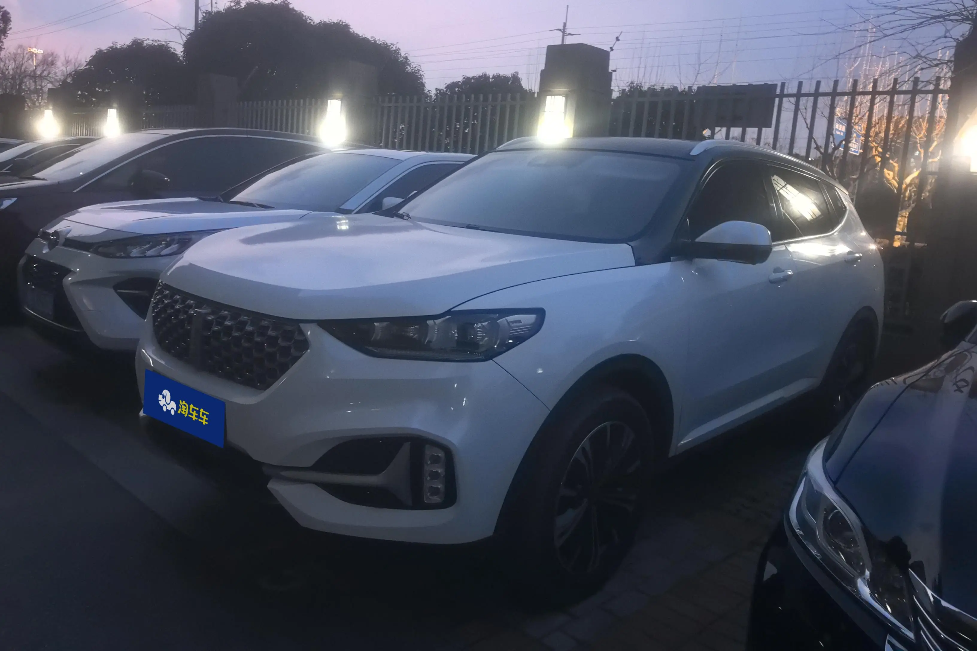 Wey Wei brand VV6