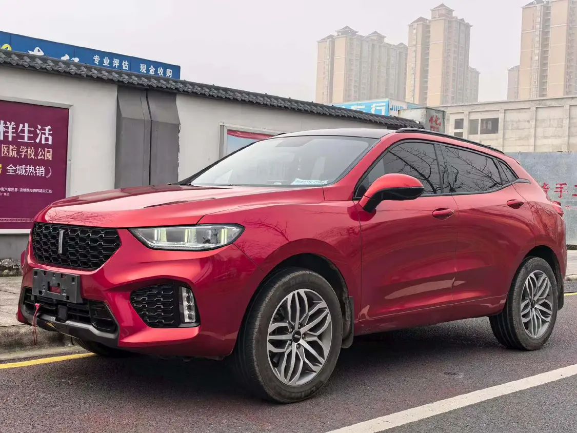 Wey Wei brand VV5