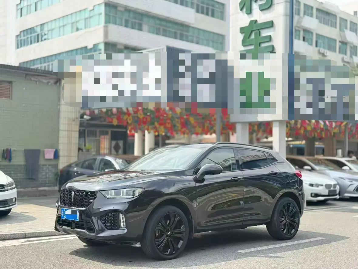 Wey Wei brand VV5