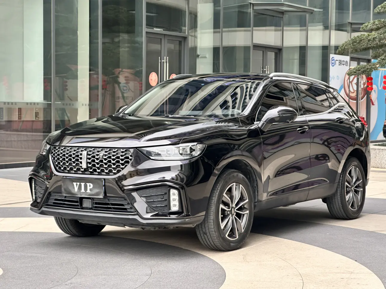 Wey Wei brand VV5