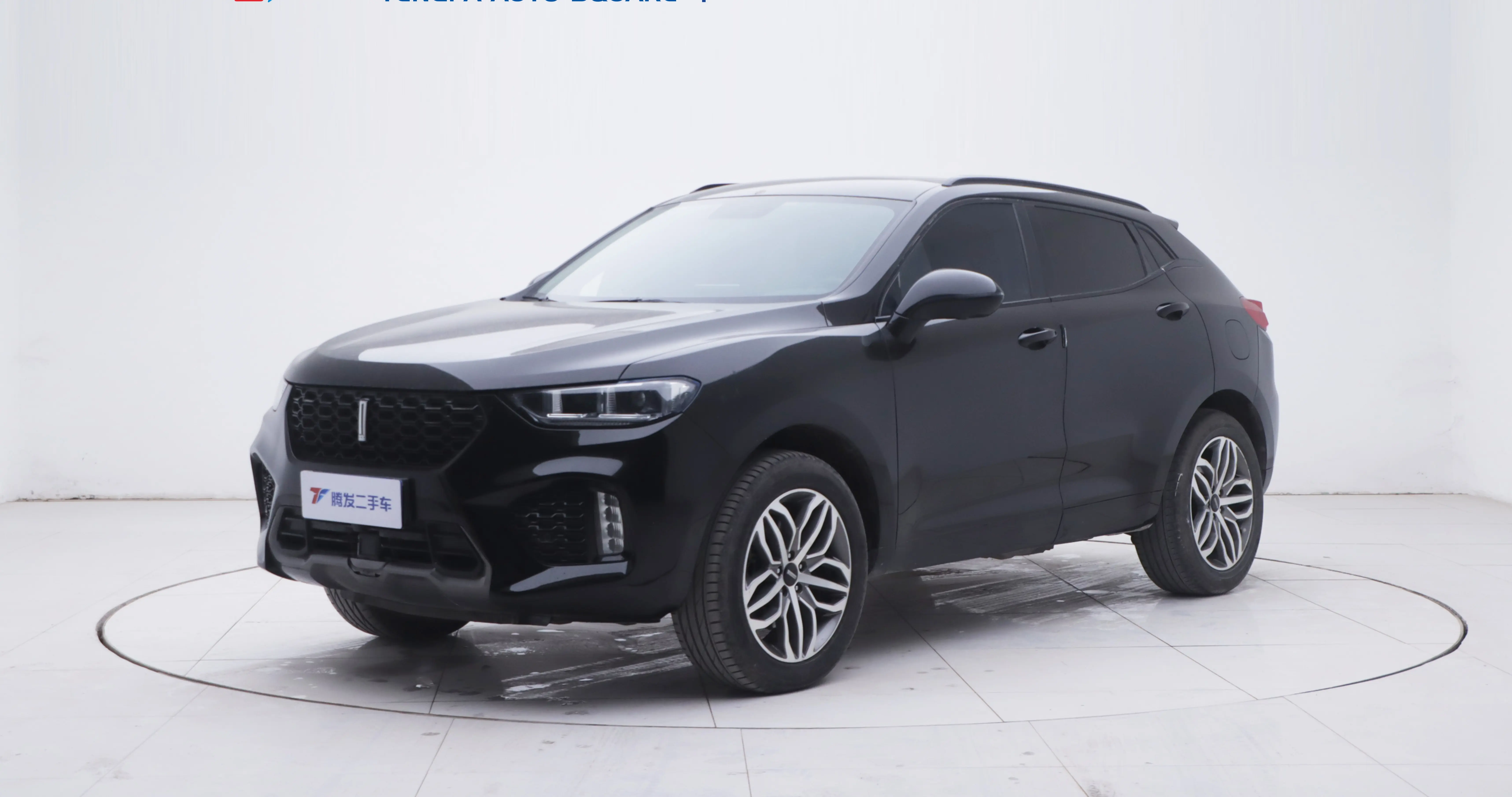Wey Wei brand VV5