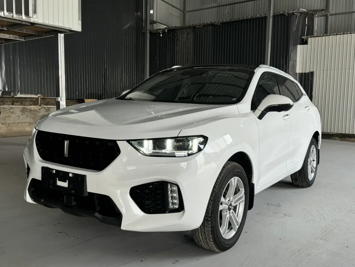 Wey Wei brand VV5