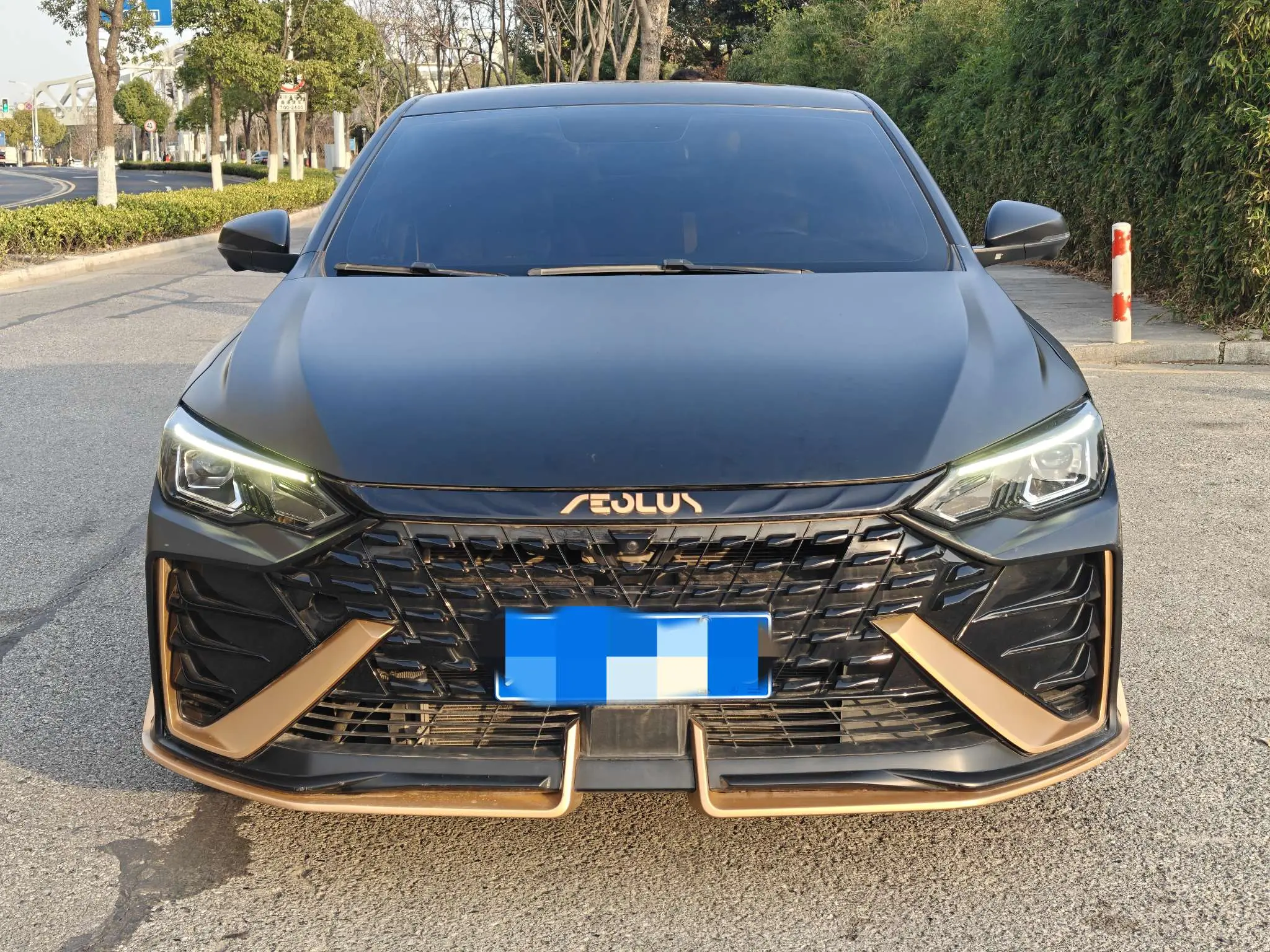 Dongfeng Yixuan MAX  из Китая