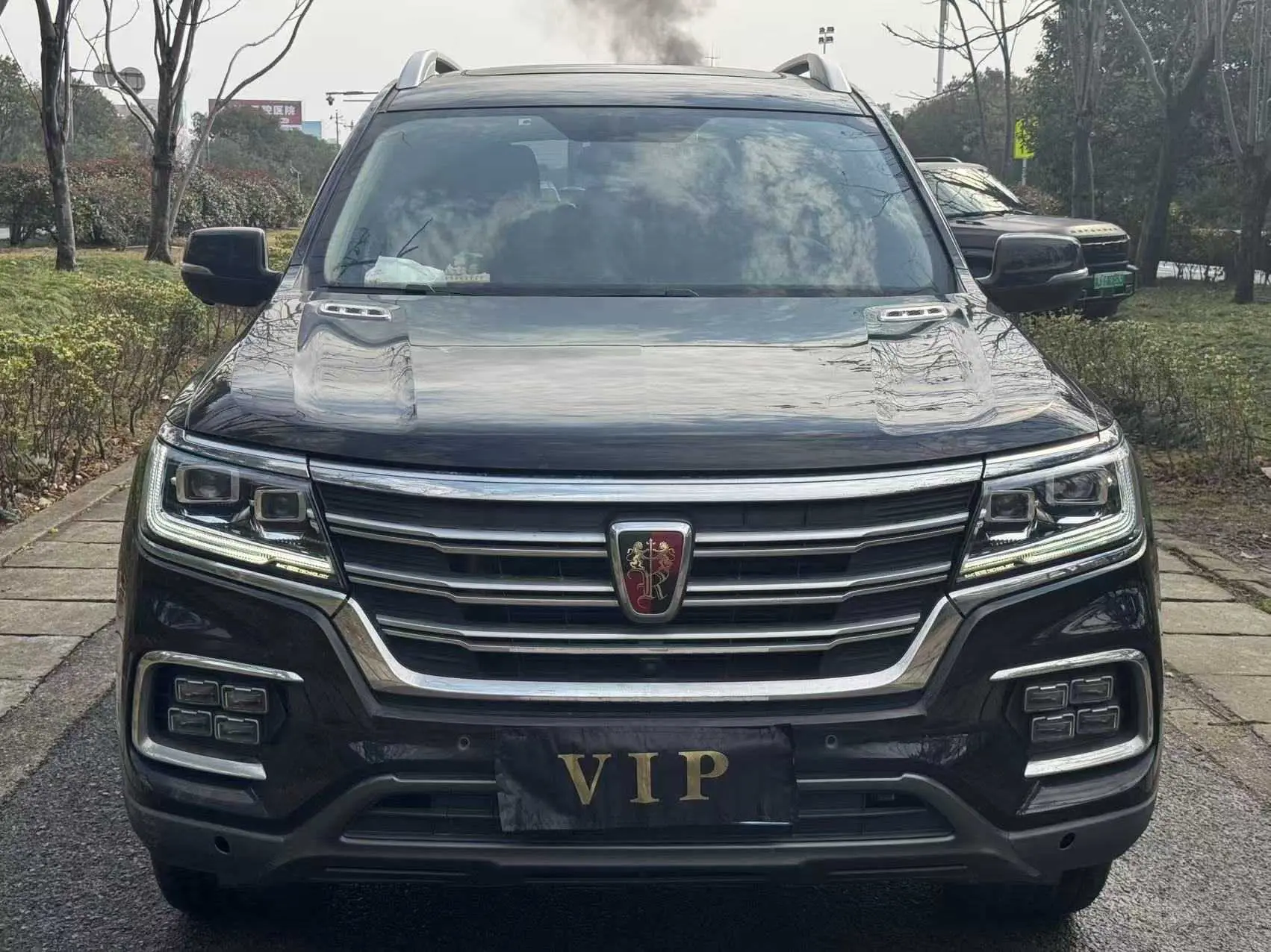 Roewe RX8  из Китая