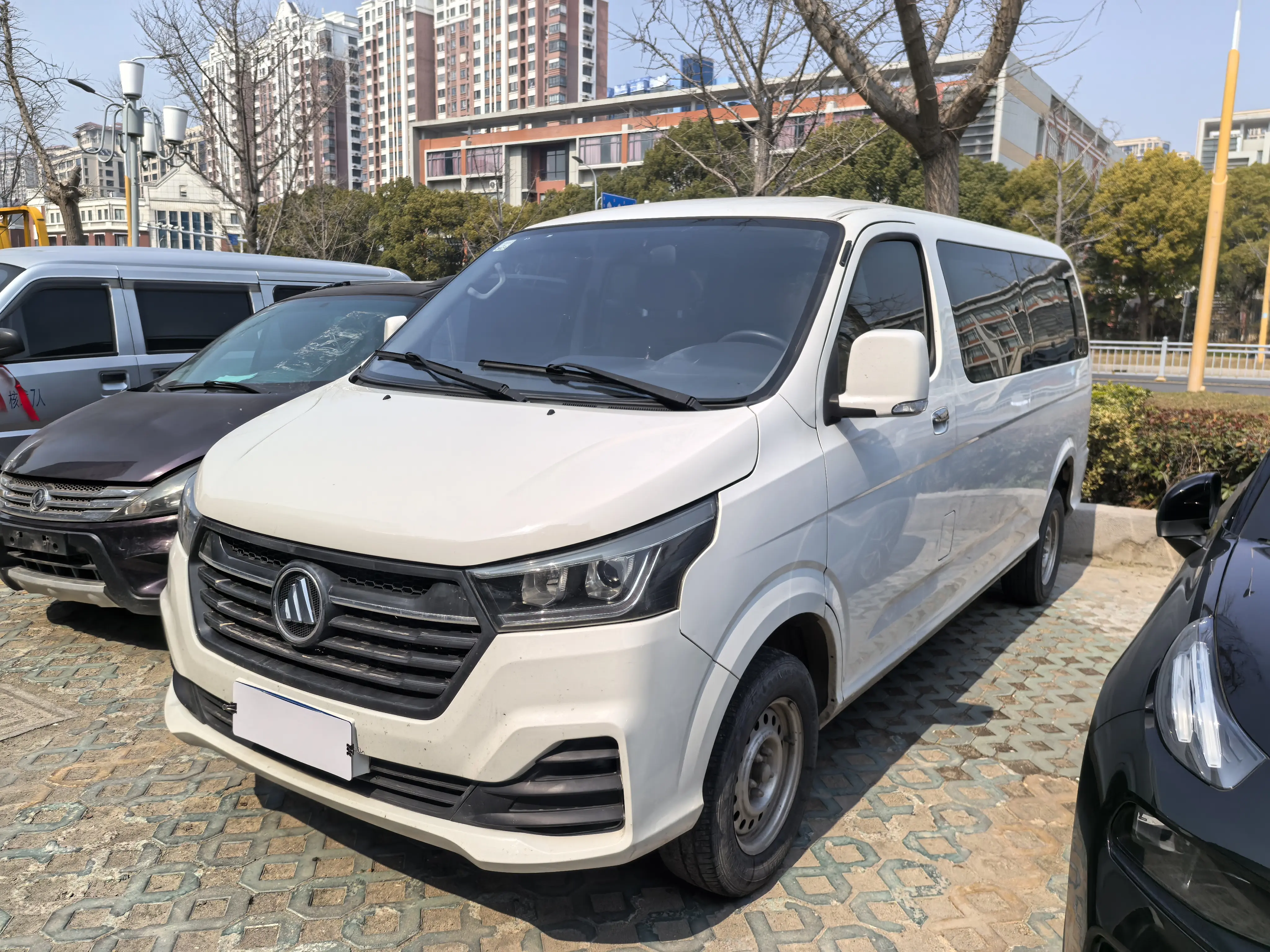 Foton Landscape G5