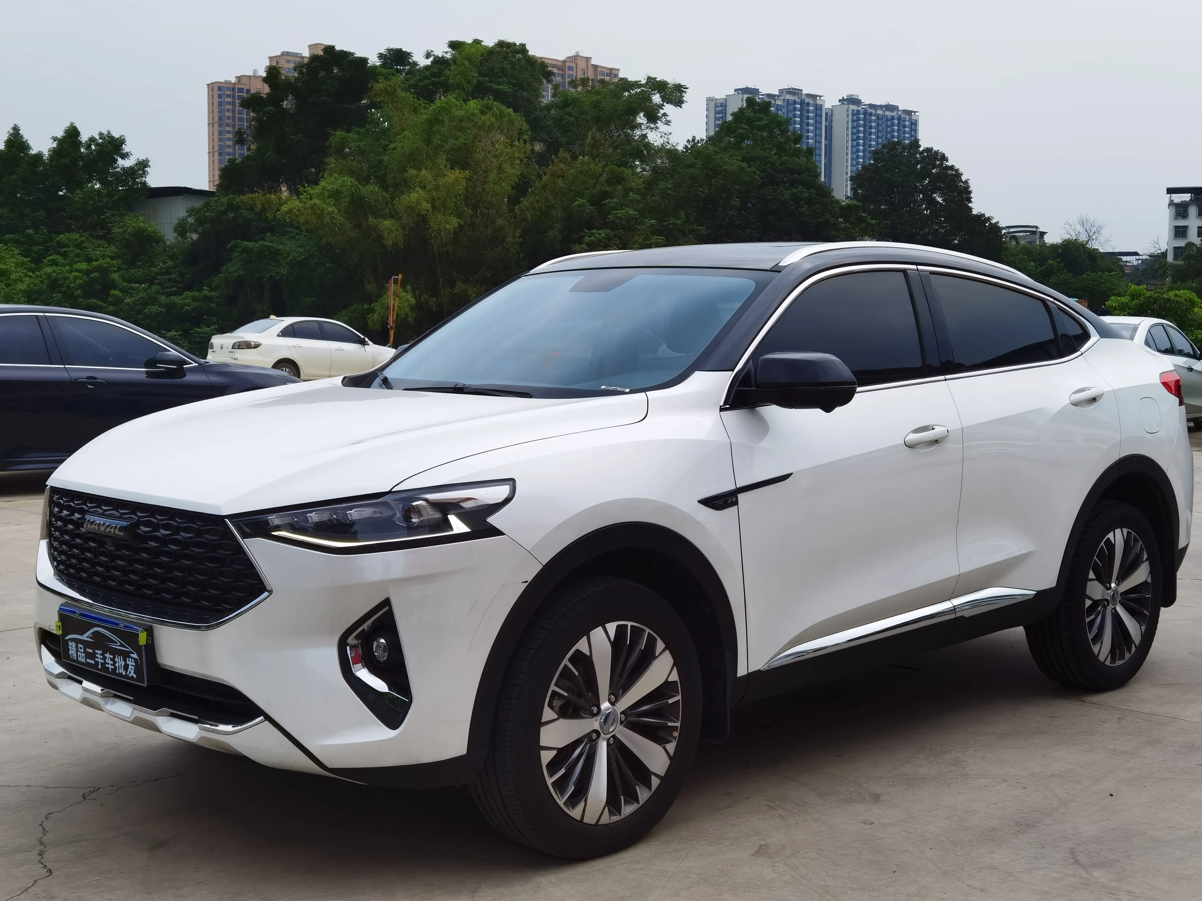 Haval F7x  из Китая