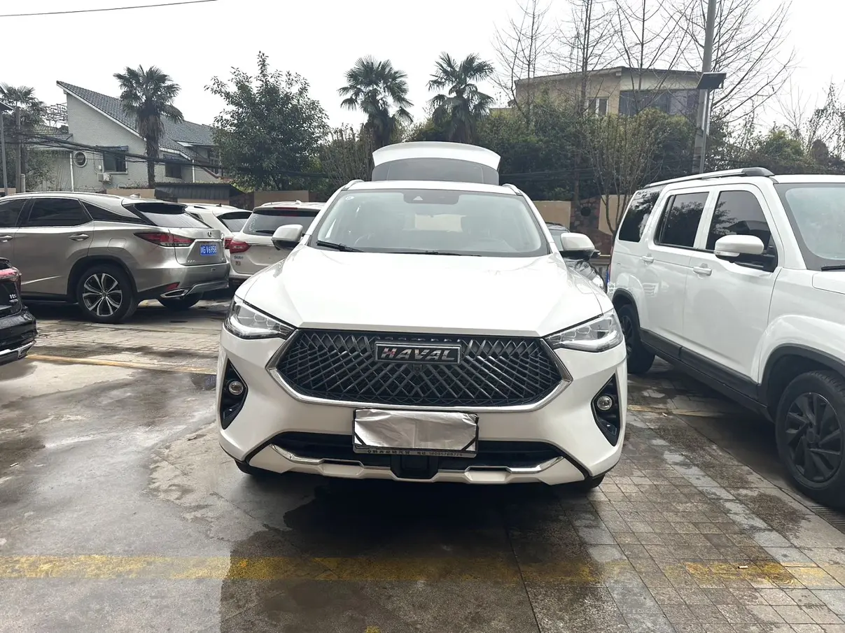 Haval F7x  из Китая