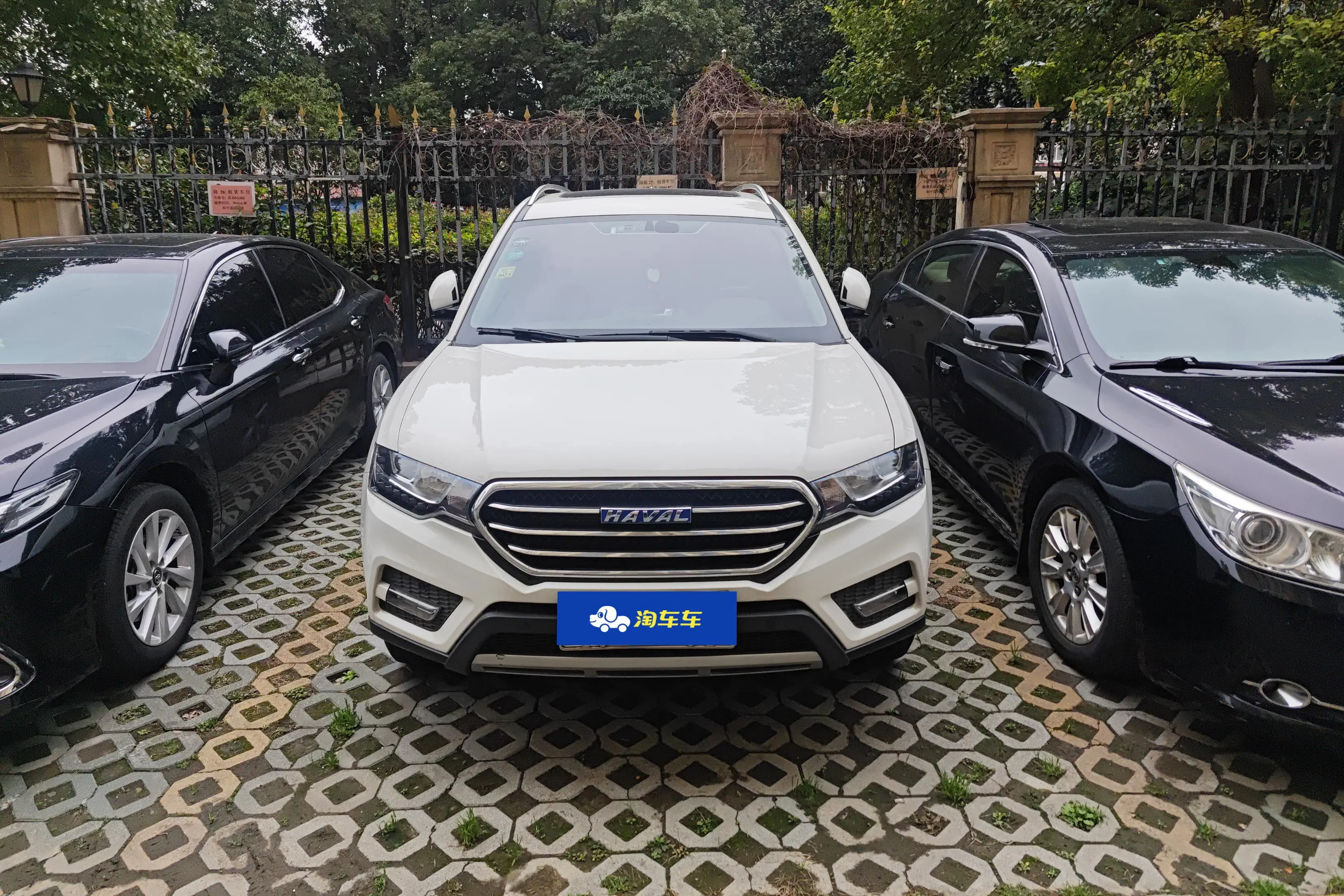 Haval H6 Coupe  из Китая