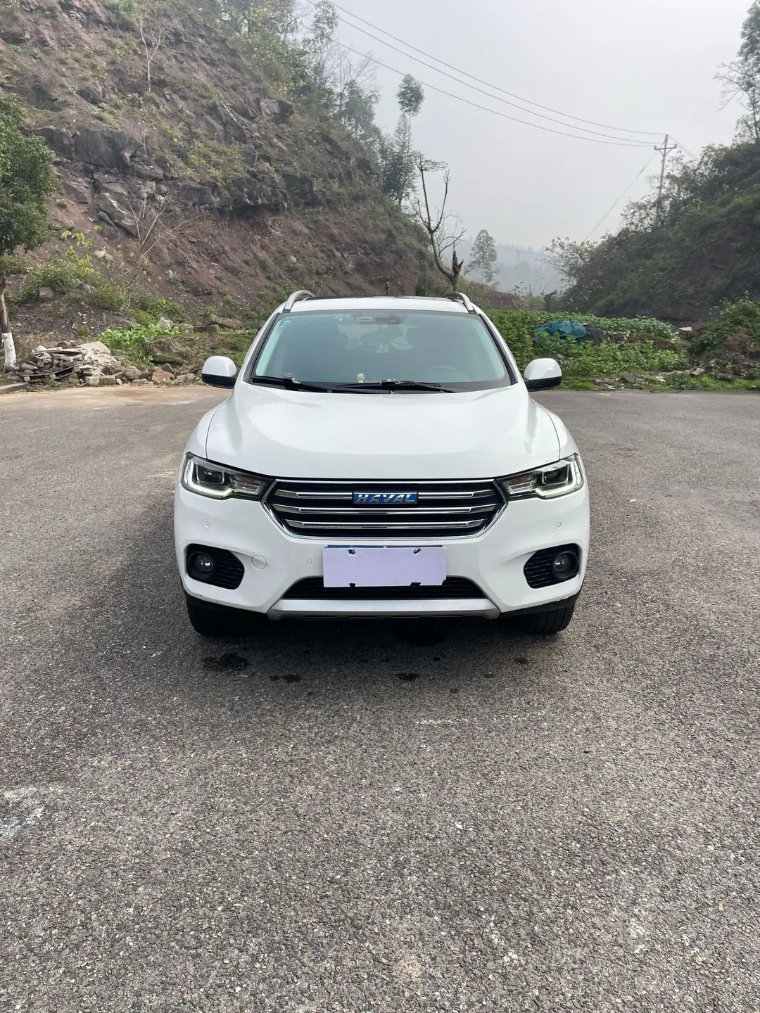 Haval H2s  из Китая