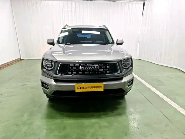 Haval Big Dog PLUS  из Китая