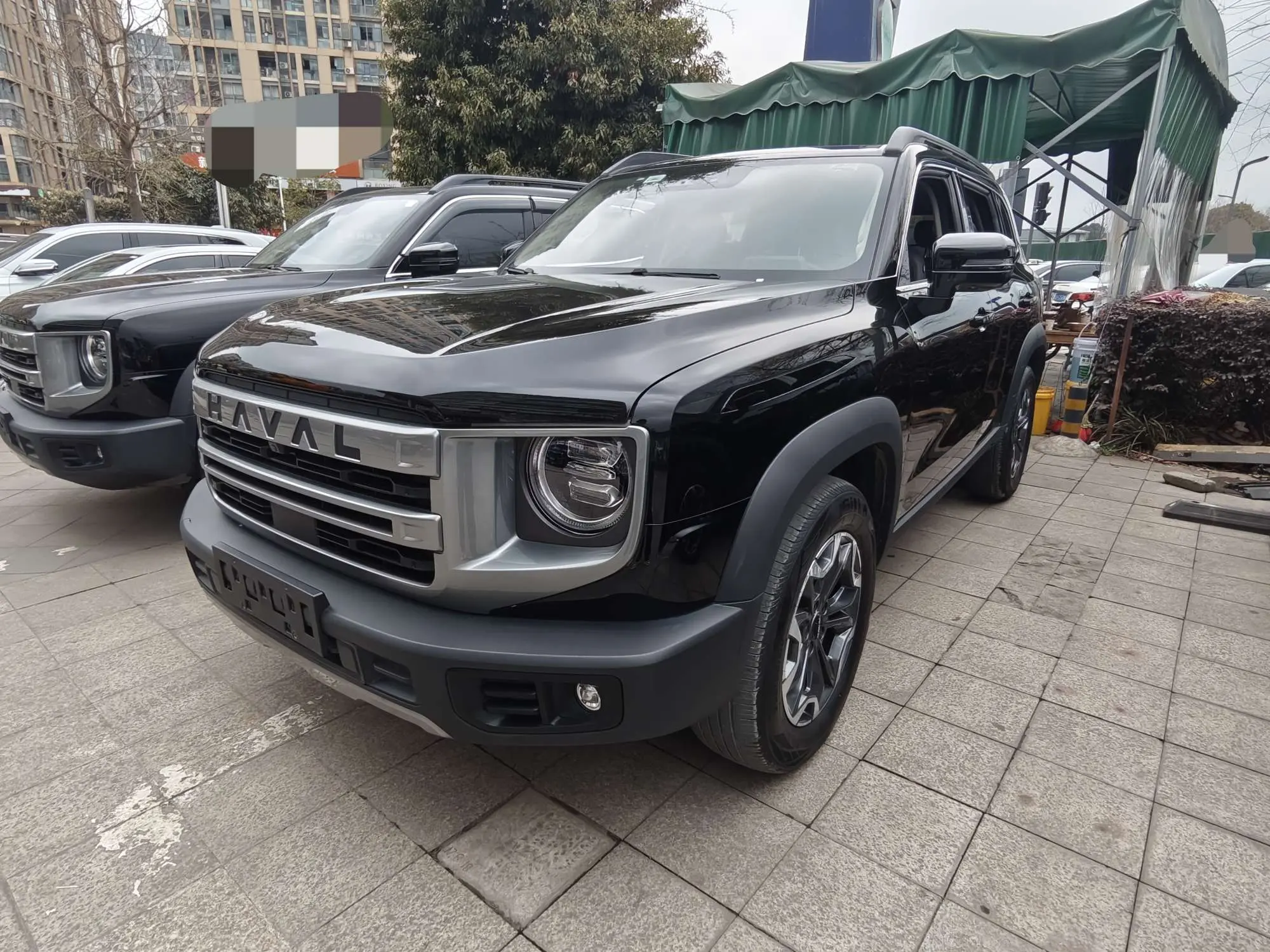 Haval Dargo