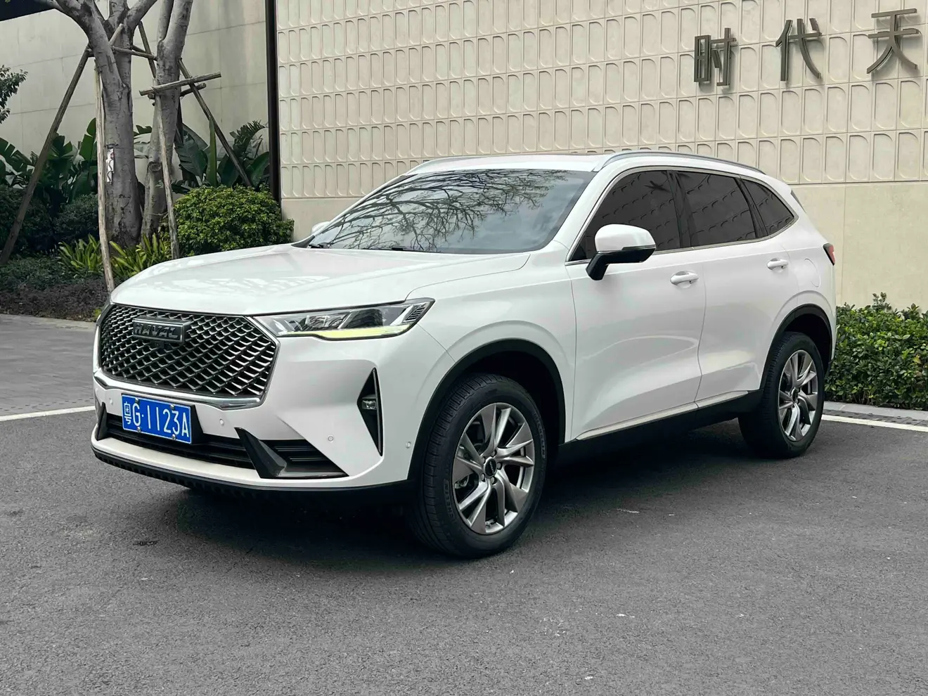 Haval H6