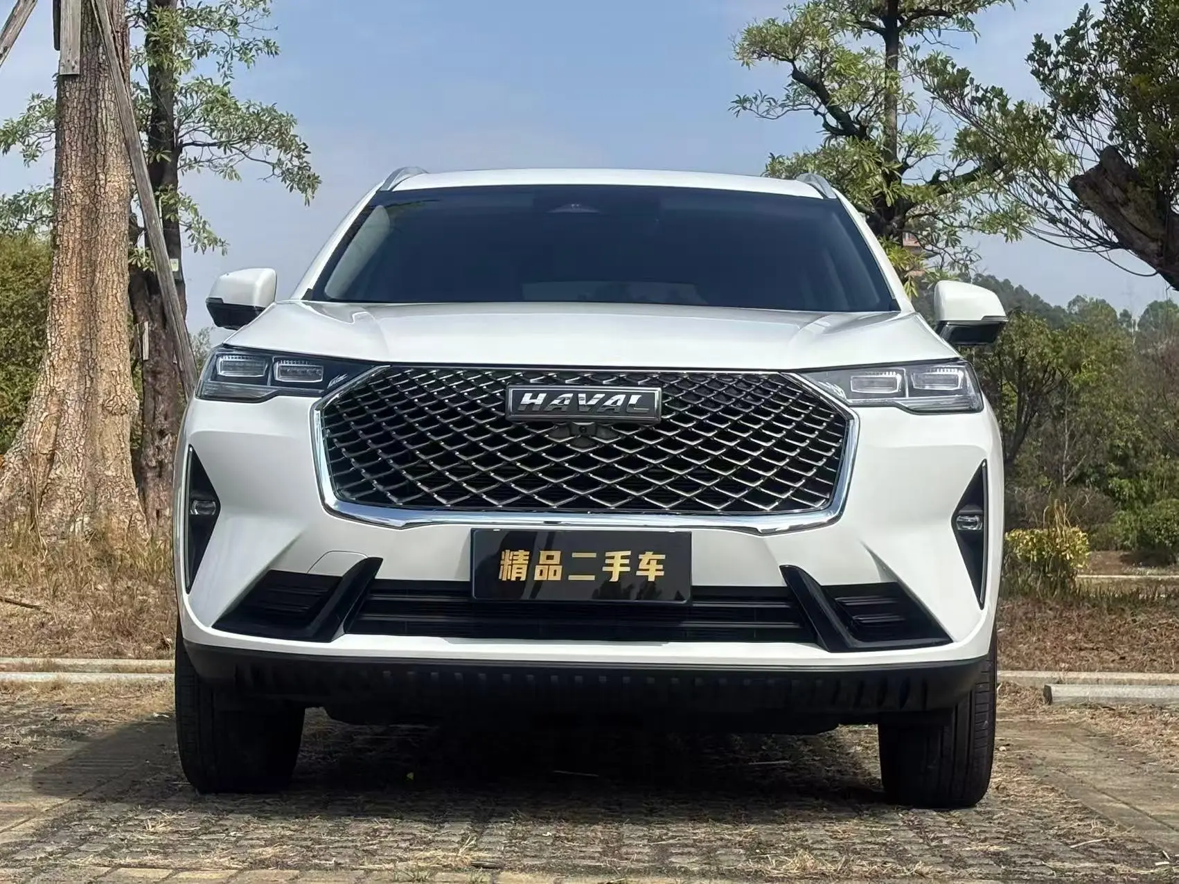 Haval H6  из Китая