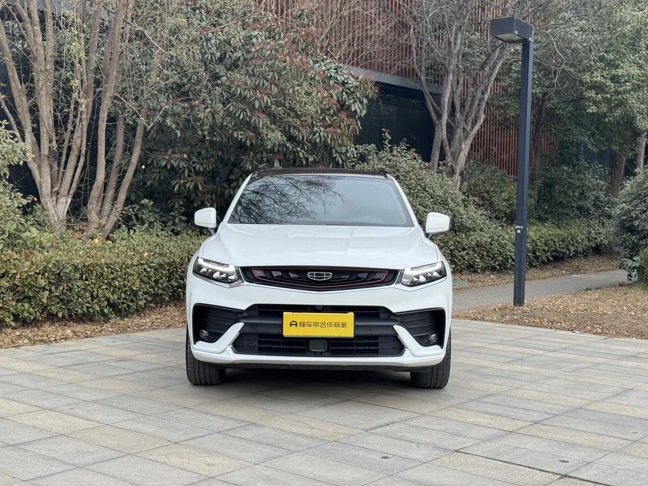 Geely Tugella (Xingyue)  из Китая