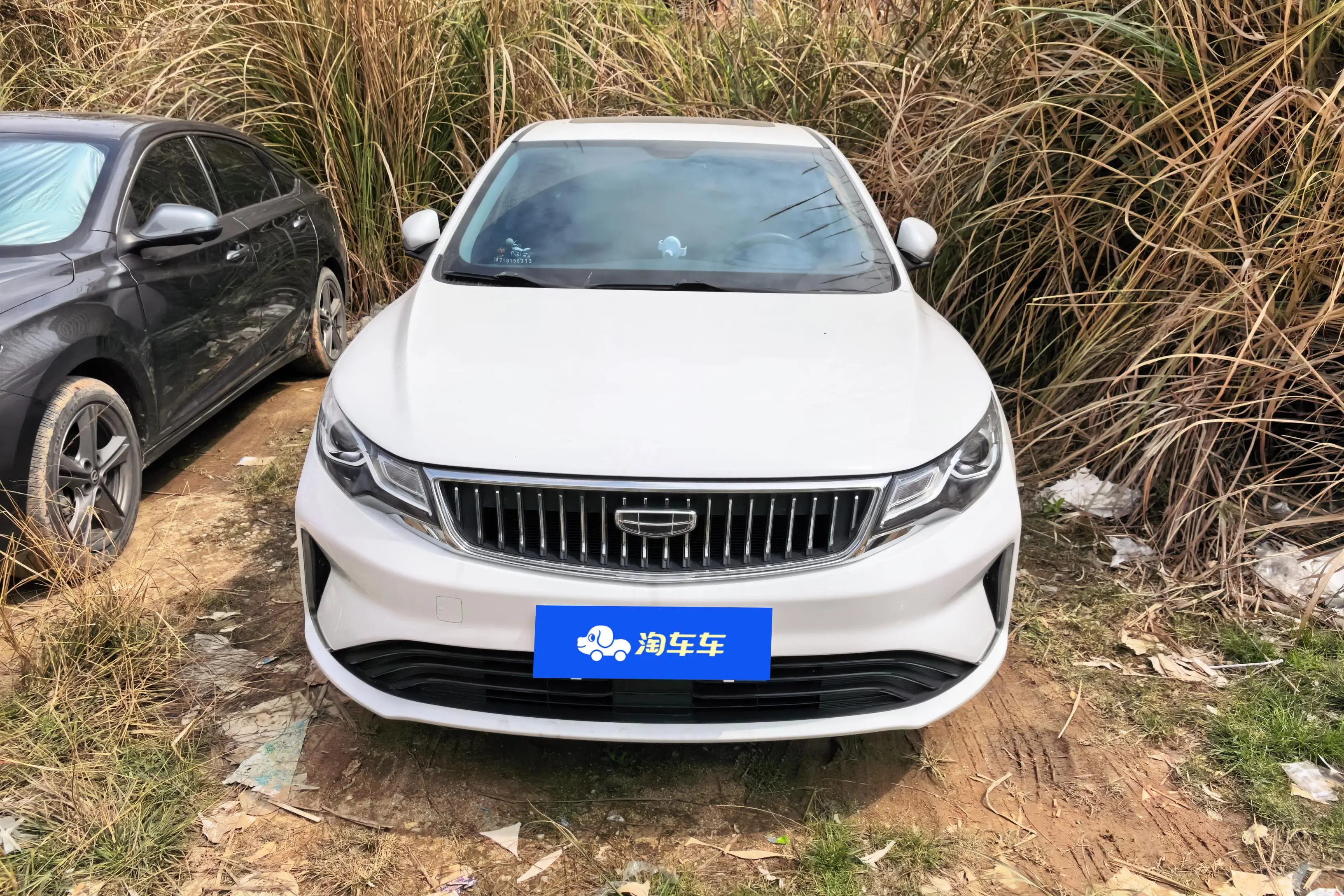 Geely Emgrand GL  из Китая