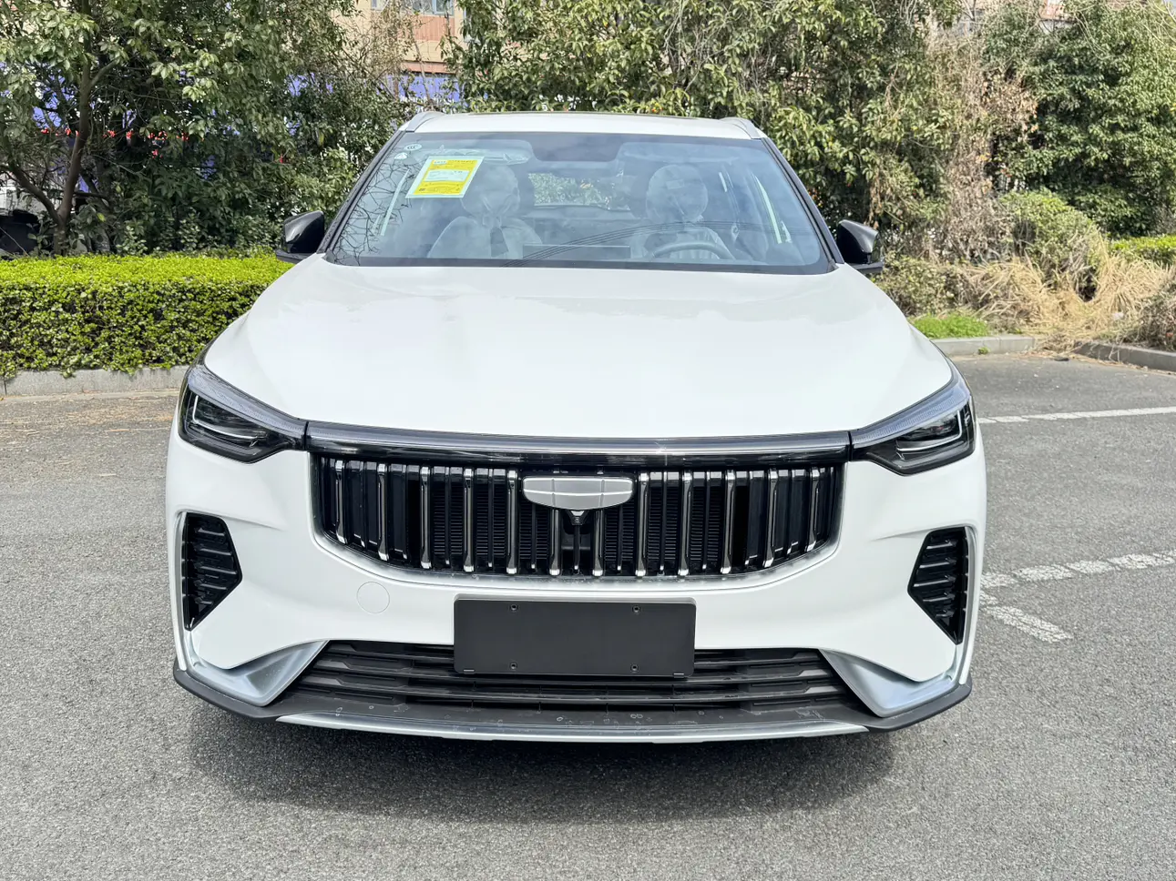 Geely Atlas (Boyue)  из Китая