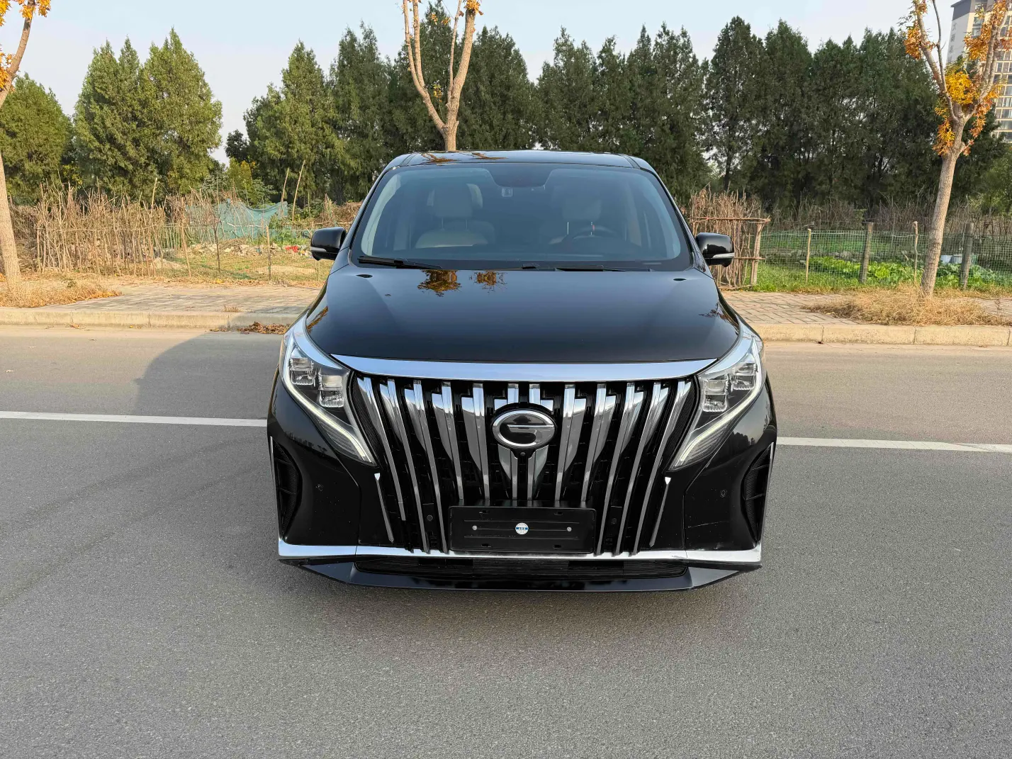 GAC Trumpchi M8  из Китая