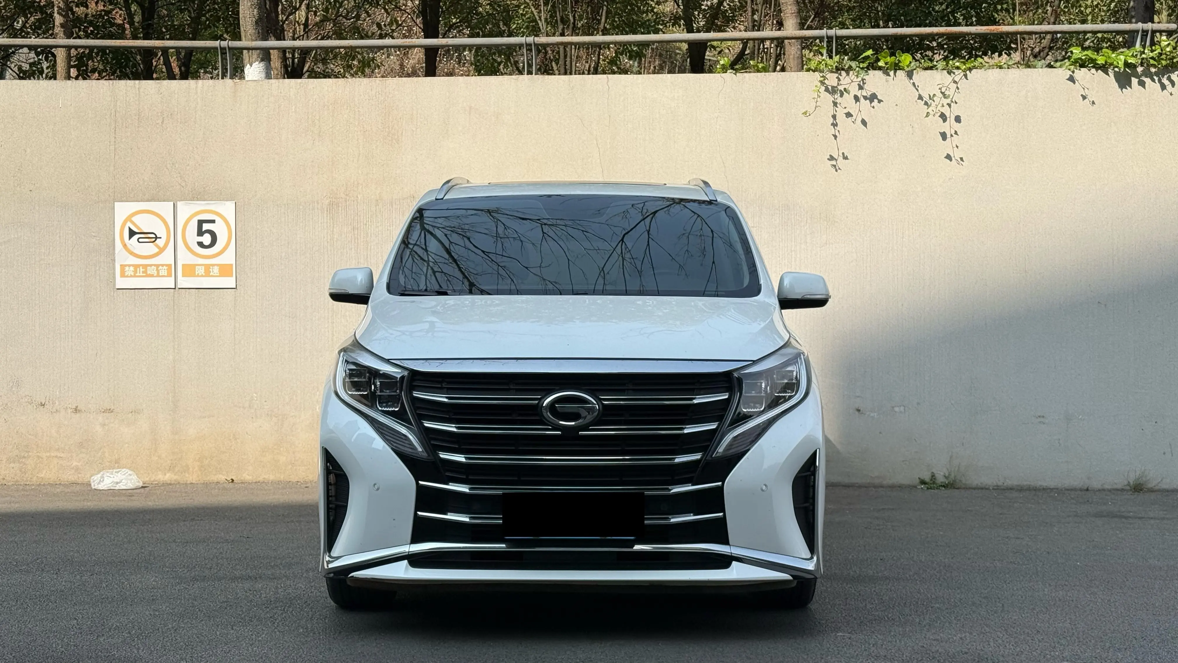 GAC Trumpchi M8  из Китая